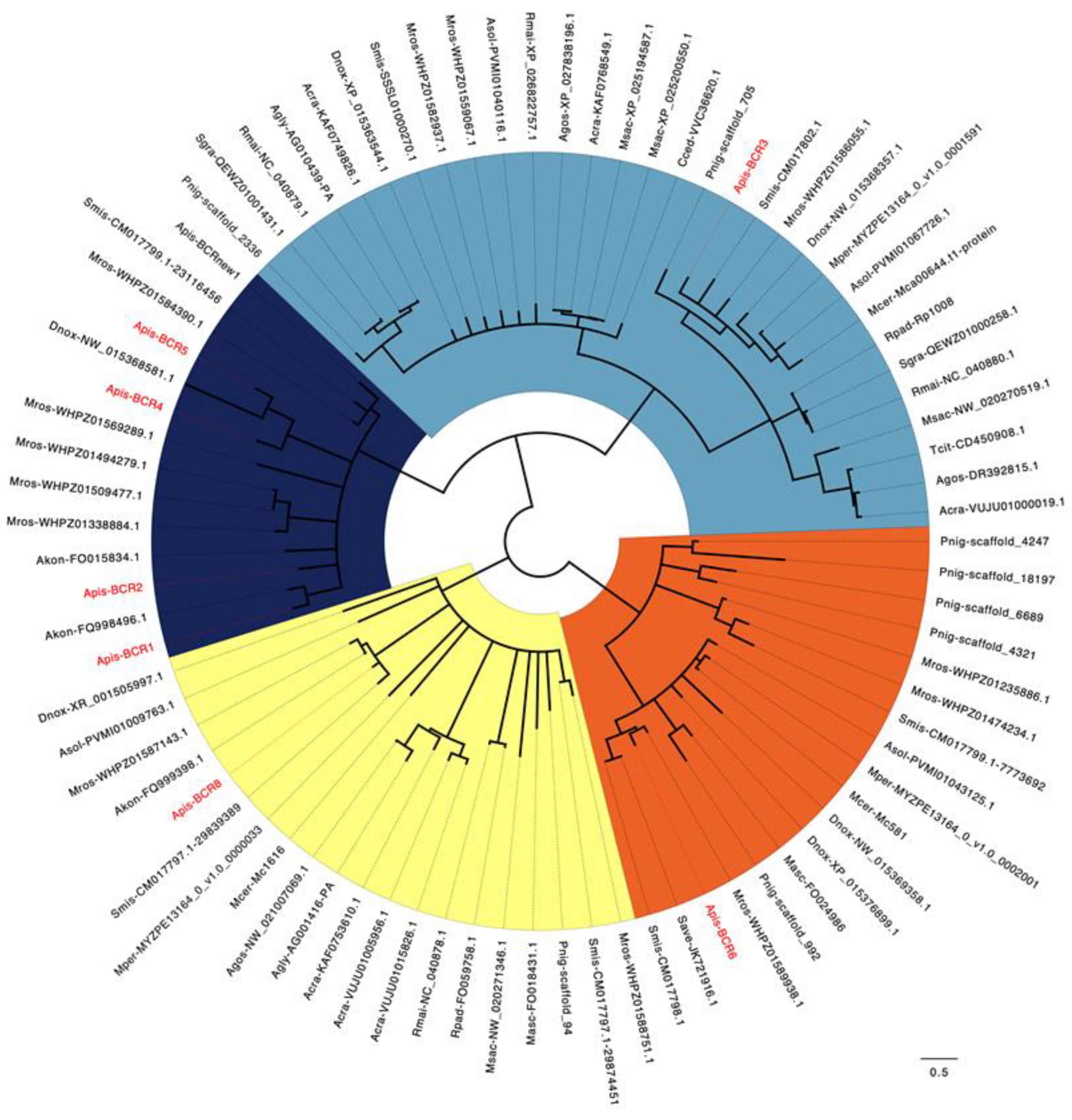 Ijms 23 12480 g004 Ijms 23 12480 g004