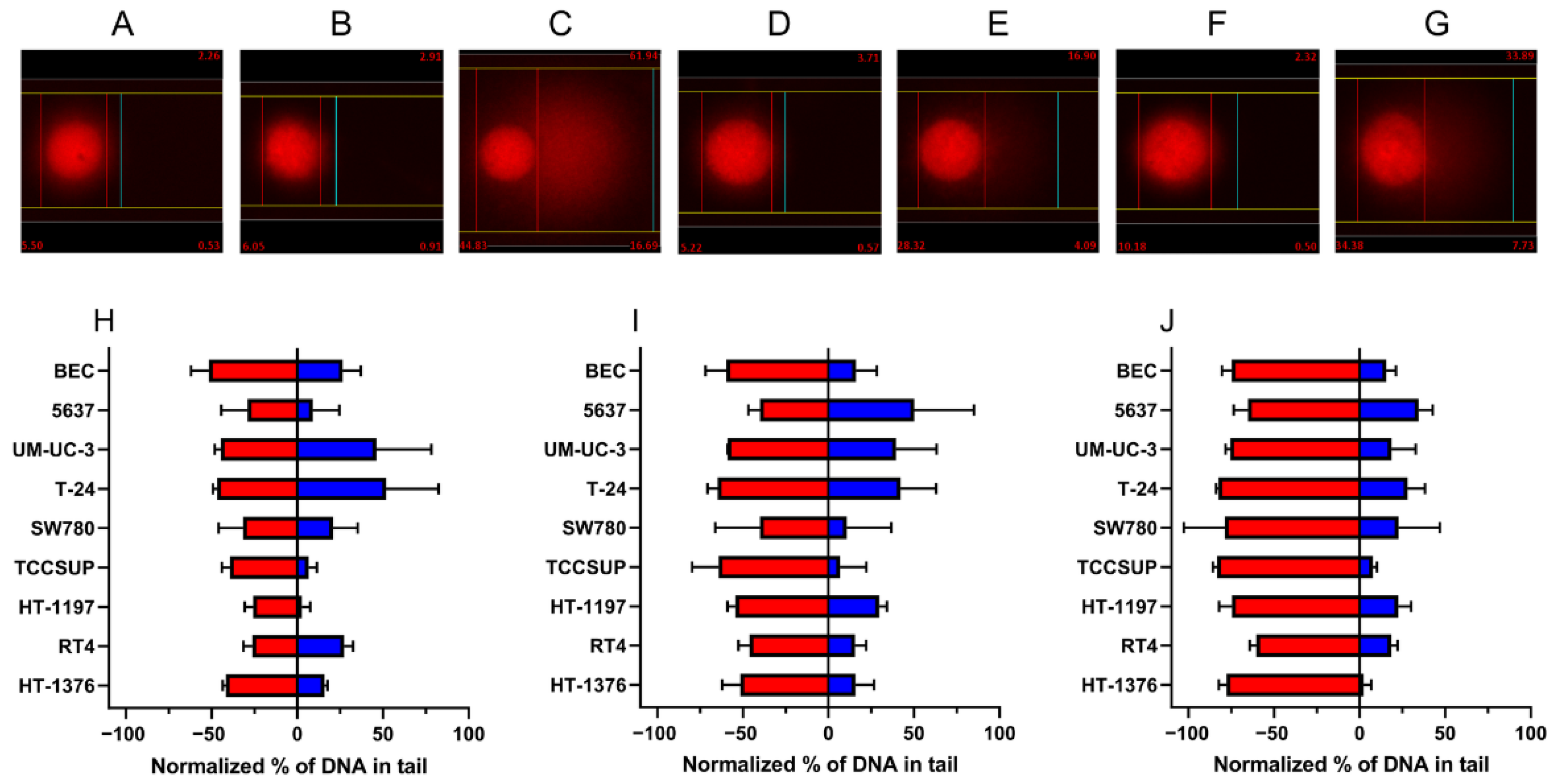 Ijms 23 12488 g003 Ijms 23 12488 g003