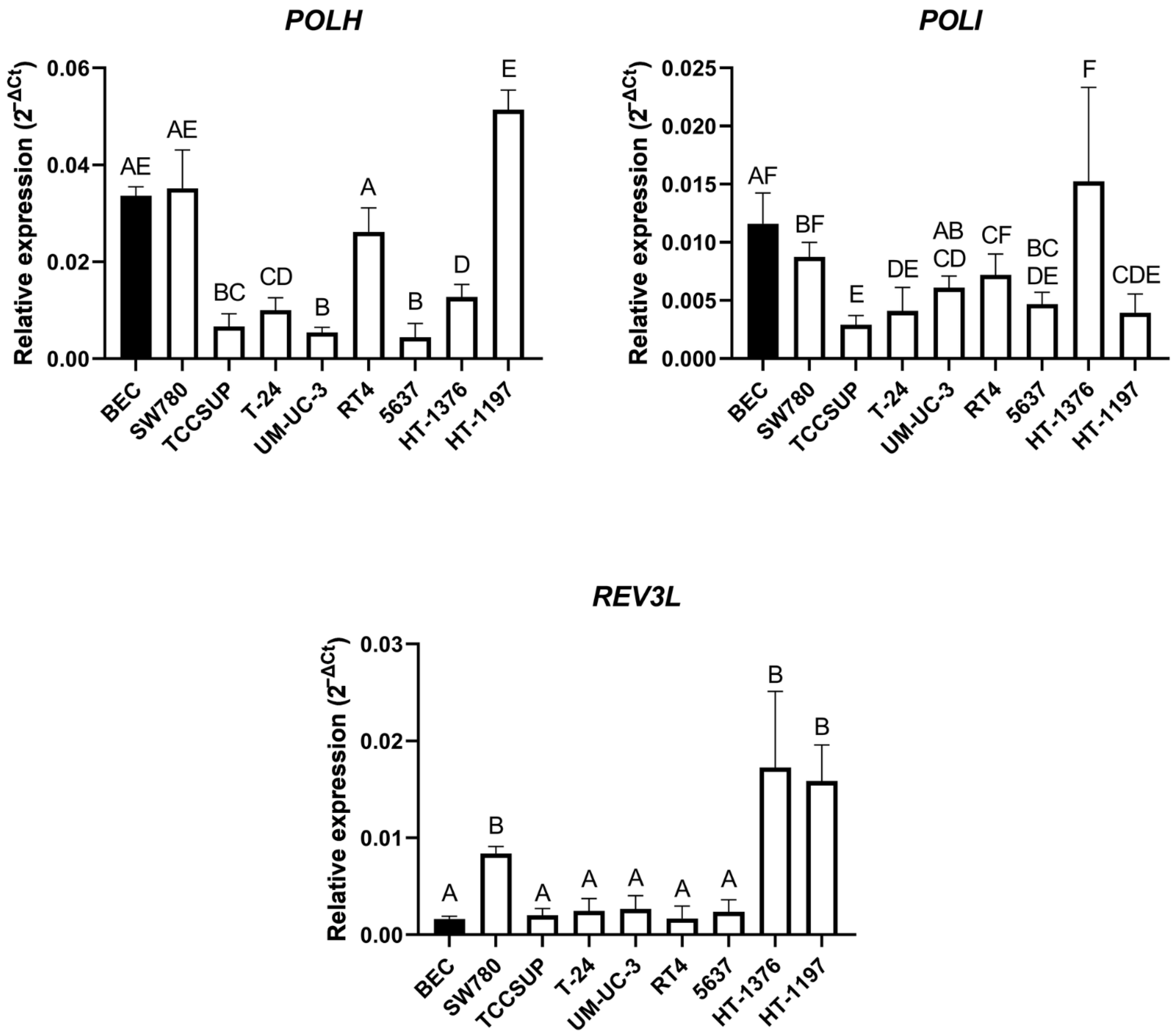 Ijms 23 12488 g006 Ijms 23 12488 g006