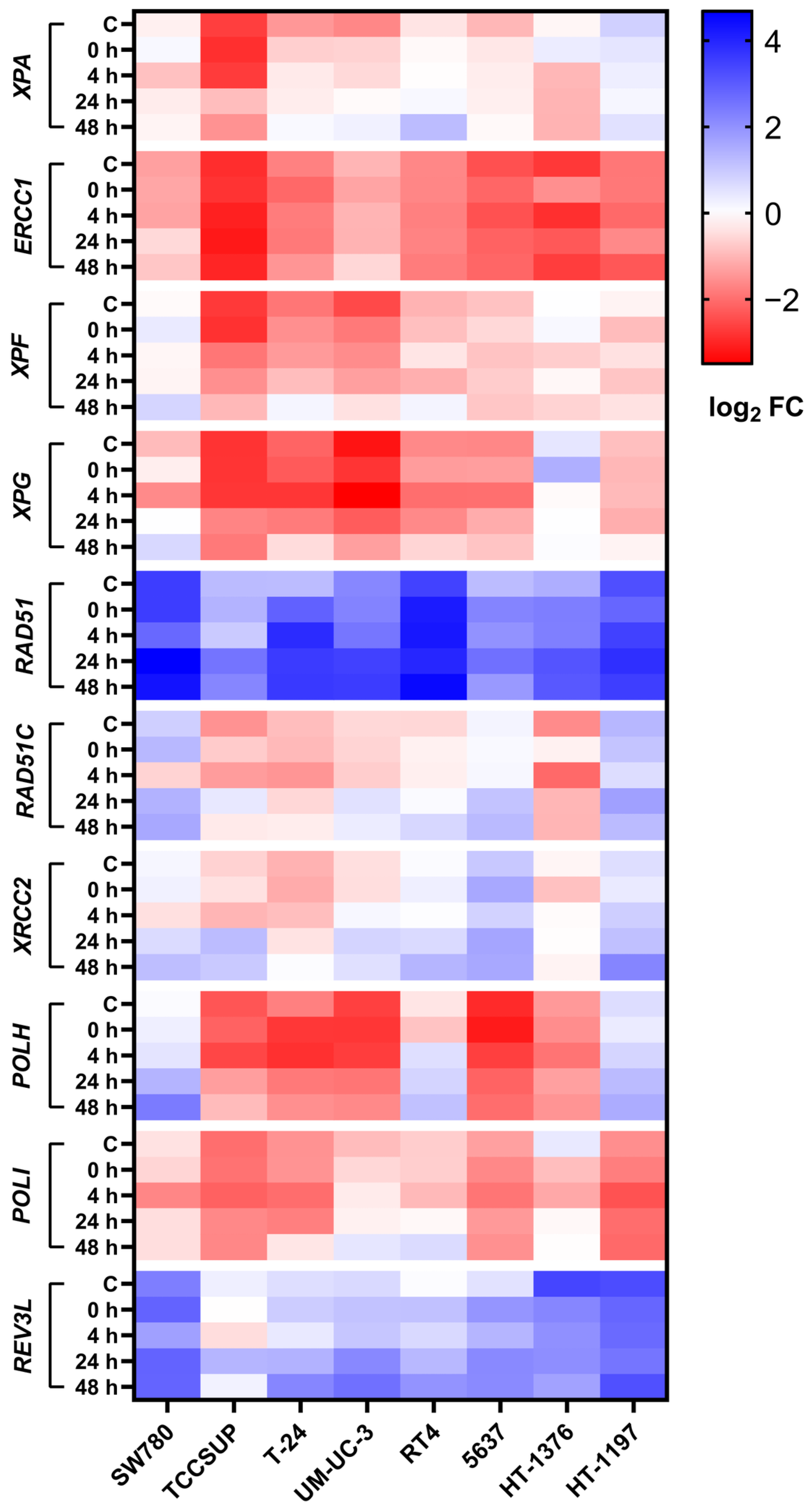 Ijms 23 12488 g008 Ijms 23 12488 g008