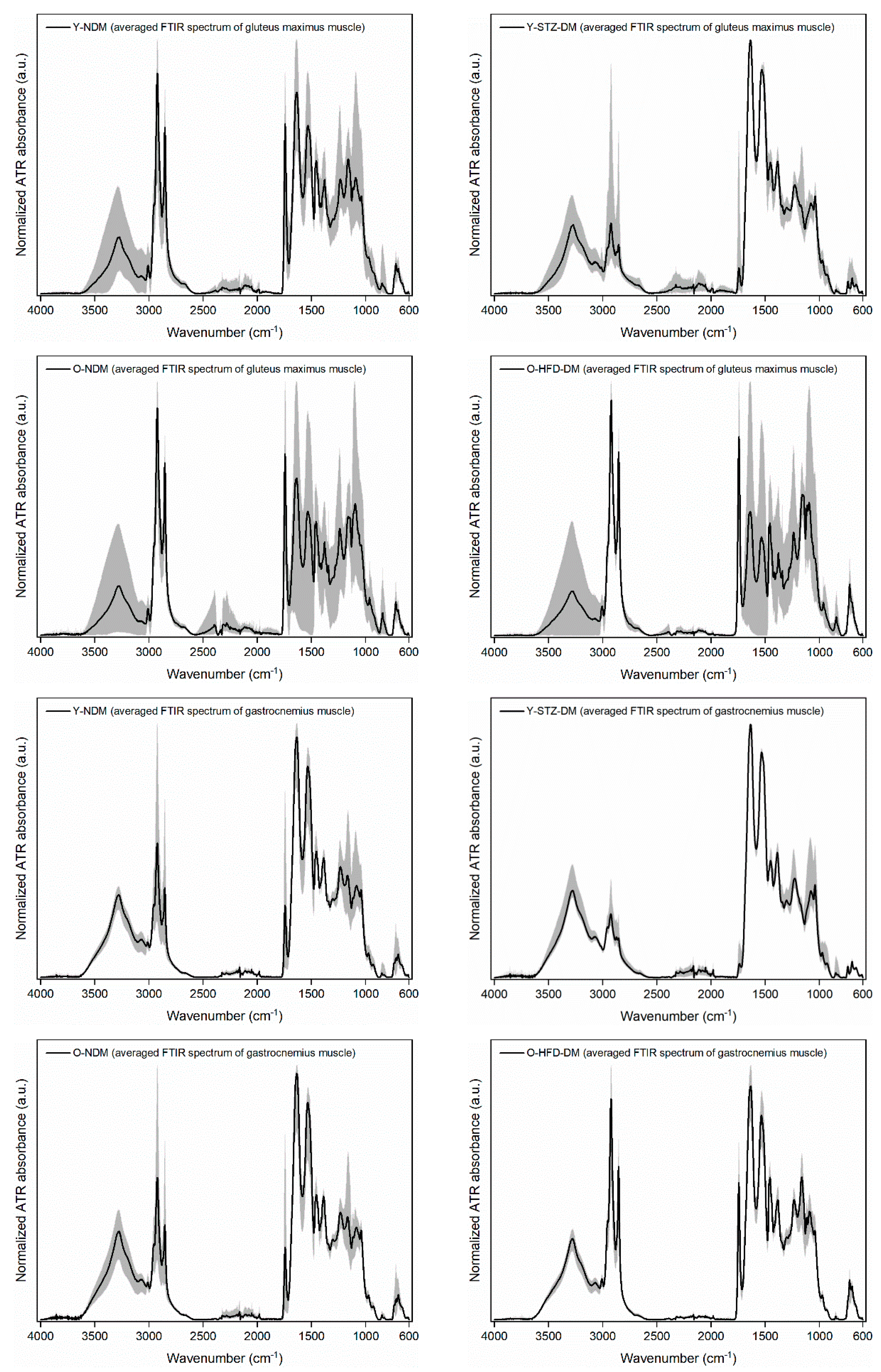 Ijms 23 12498 g002 Ijms 23 12498 g002