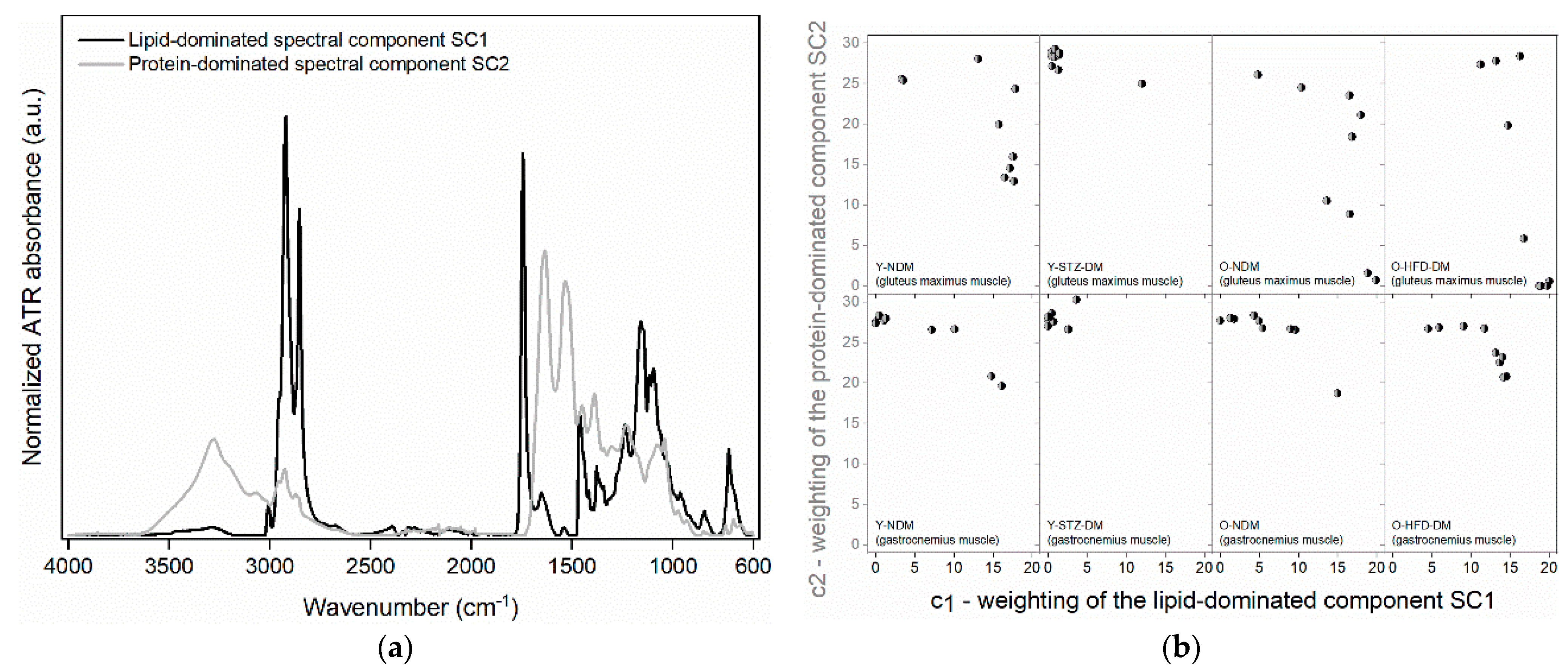 Ijms 23 12498 g003 Ijms 23 12498 g003