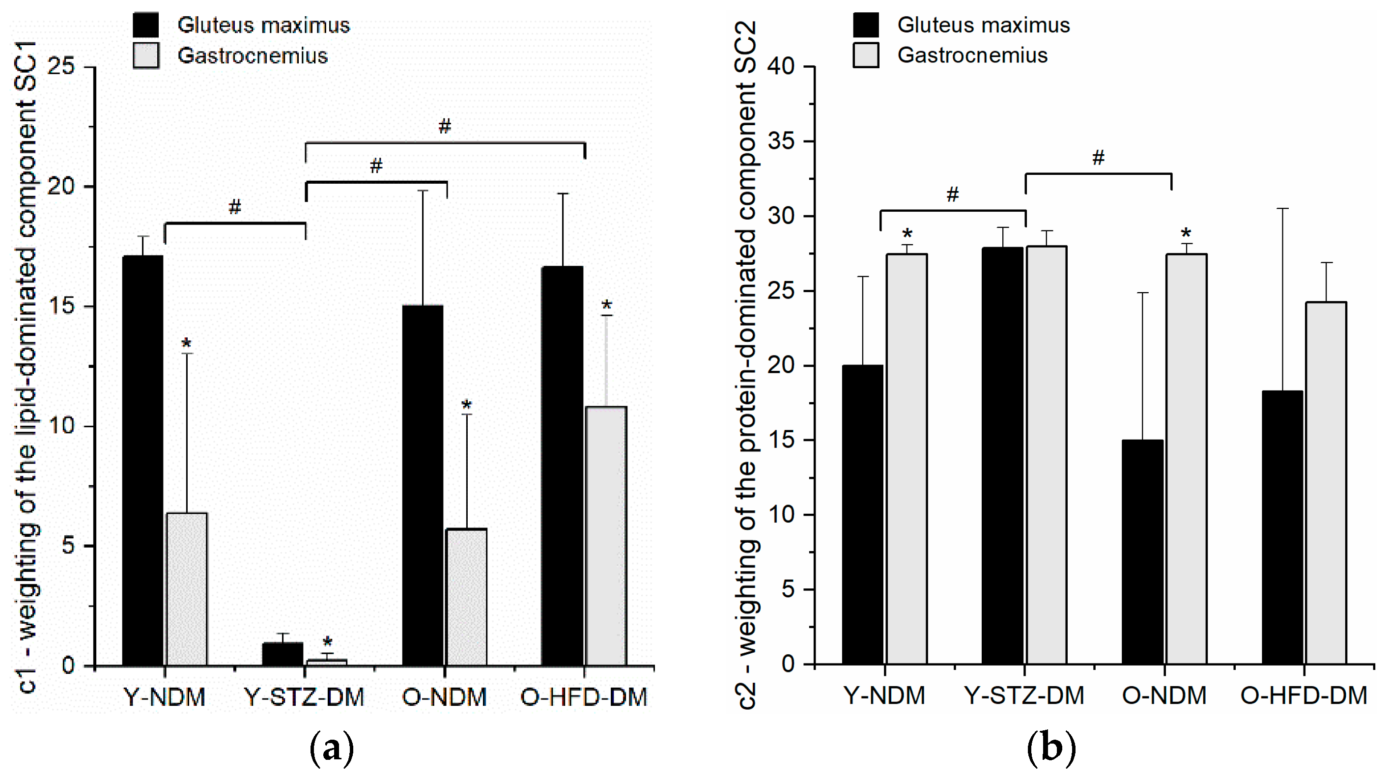 Ijms 23 12498 g004 Ijms 23 12498 g004