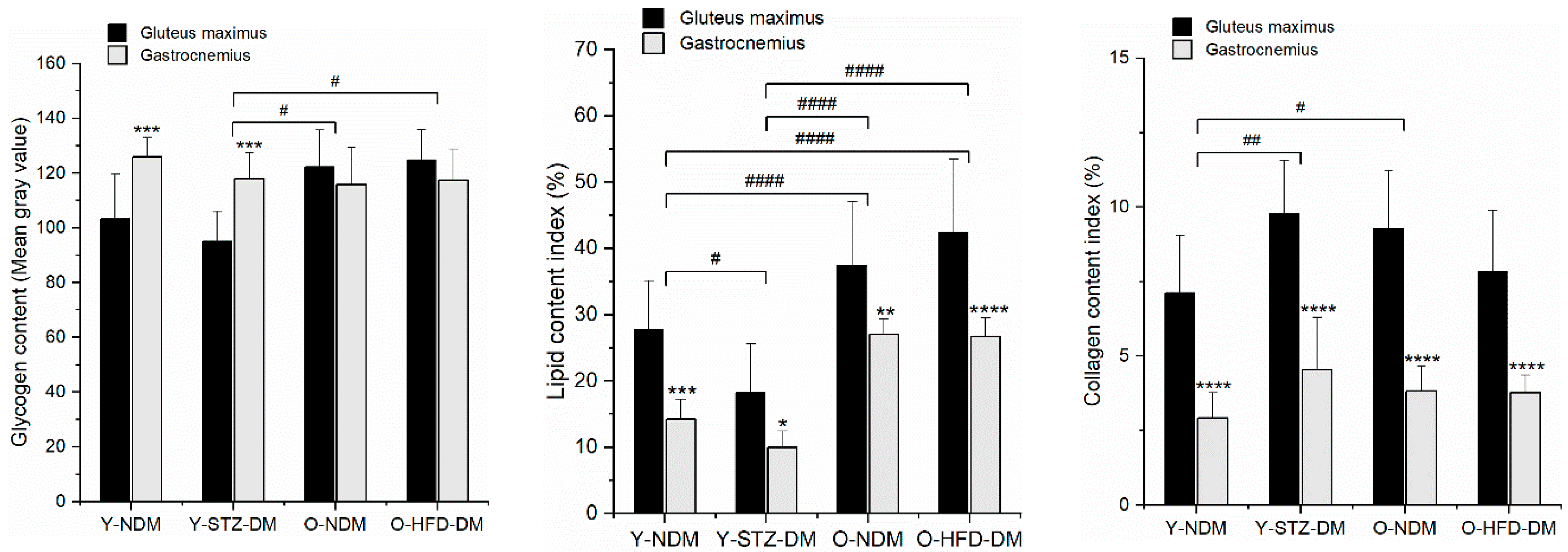 Ijms 23 12498 g005 Ijms 23 12498 g005