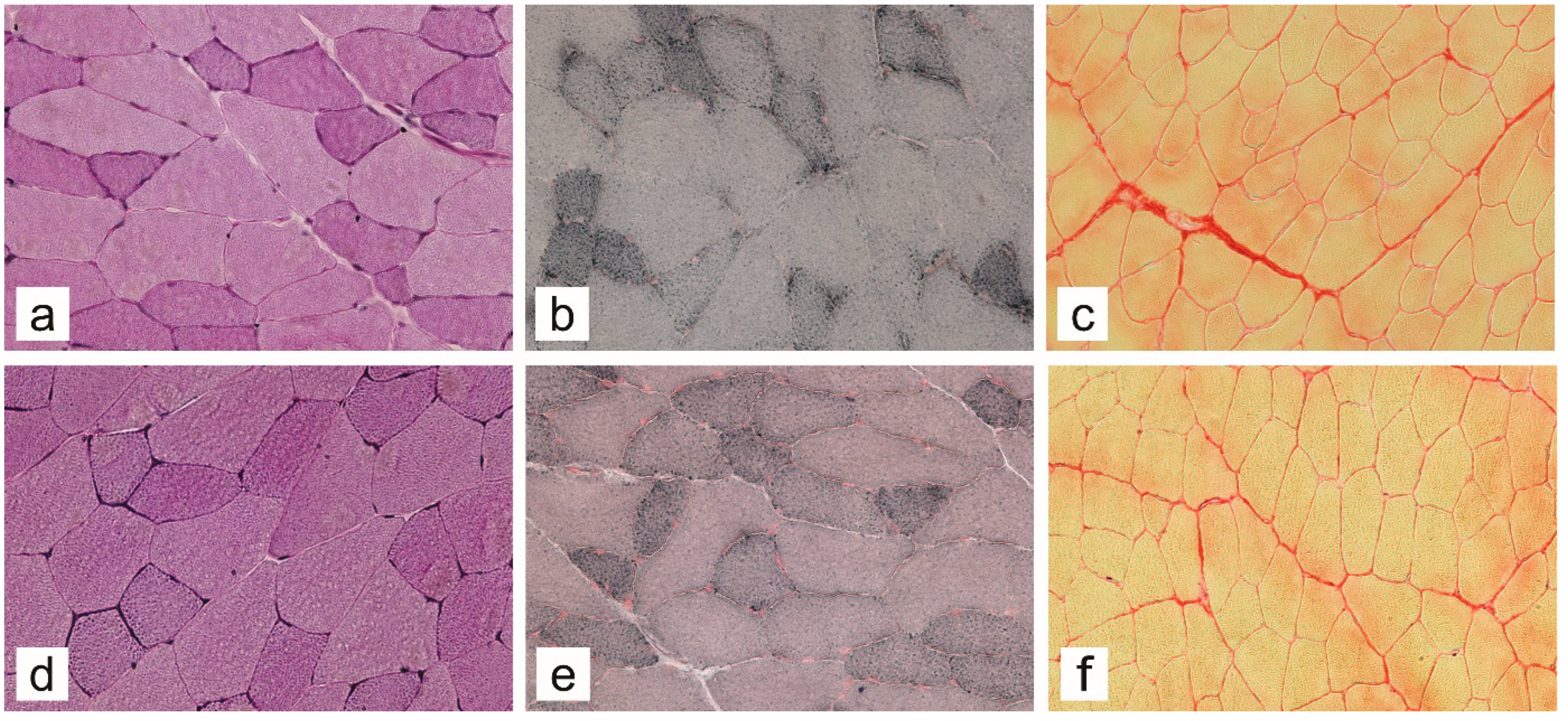 Ijms 23 12498 g006 Ijms 23 12498 g006