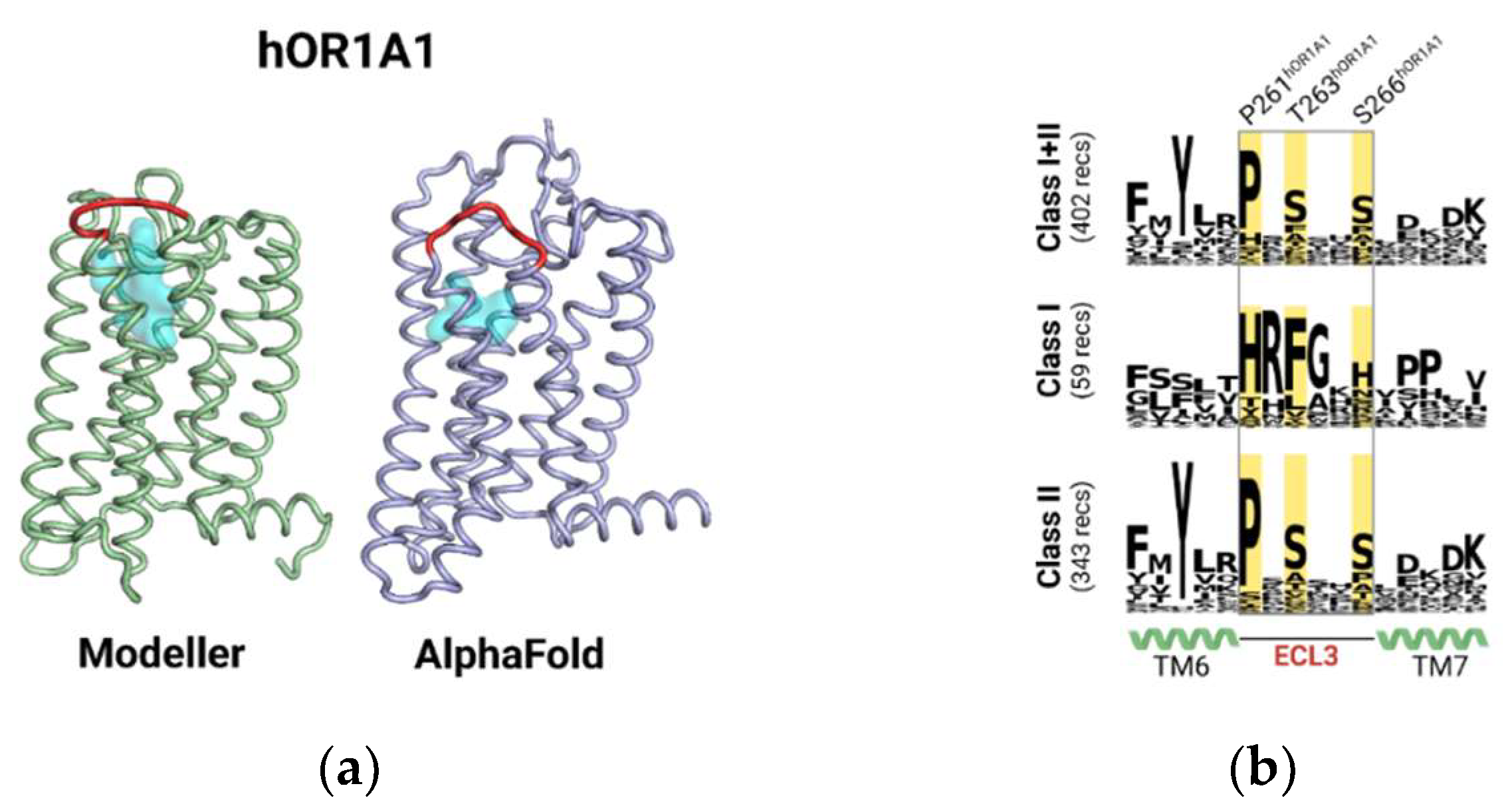 Ijms 23 12501 g001 Ijms 23 12501 g001
