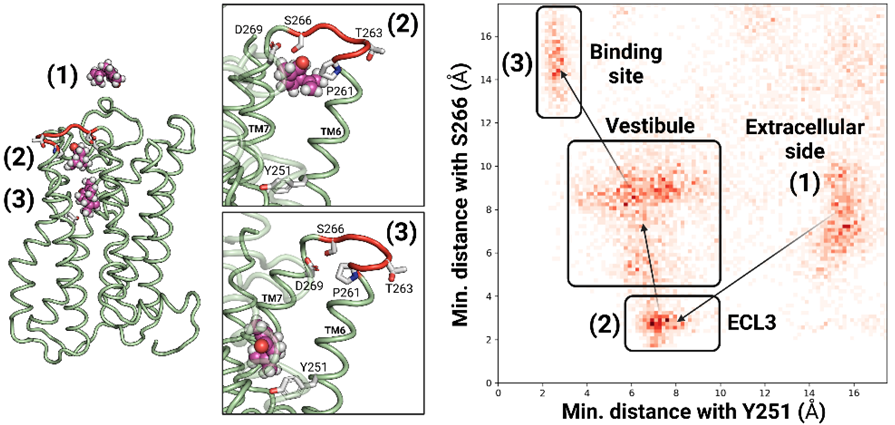 Ijms 23 12501 g002 Ijms 23 12501 g002