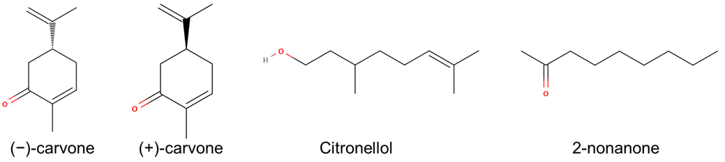 Ijms 23 12501 g003 Ijms 23 12501 g003
