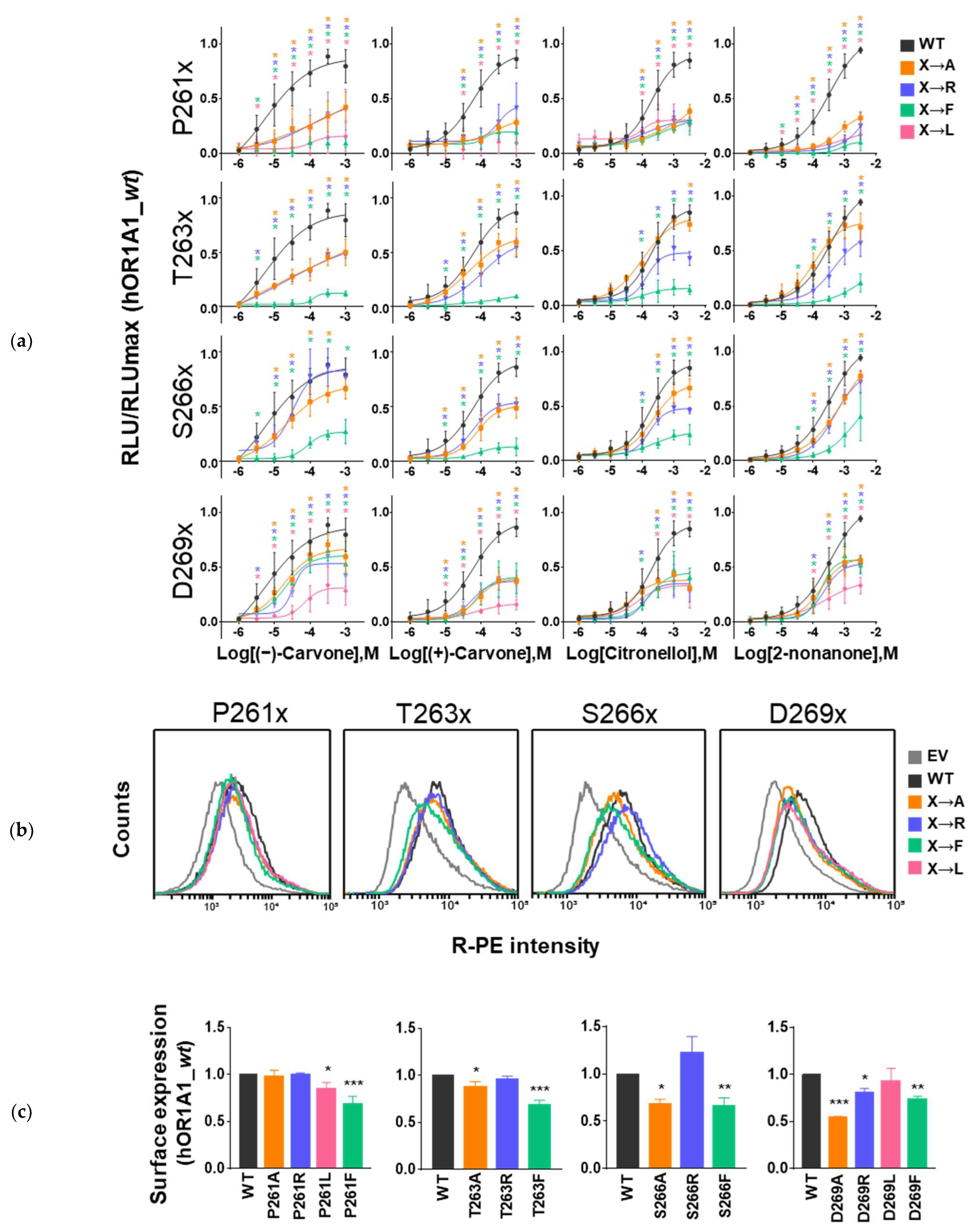 Ijms 23 12501 g004 Ijms 23 12501 g004