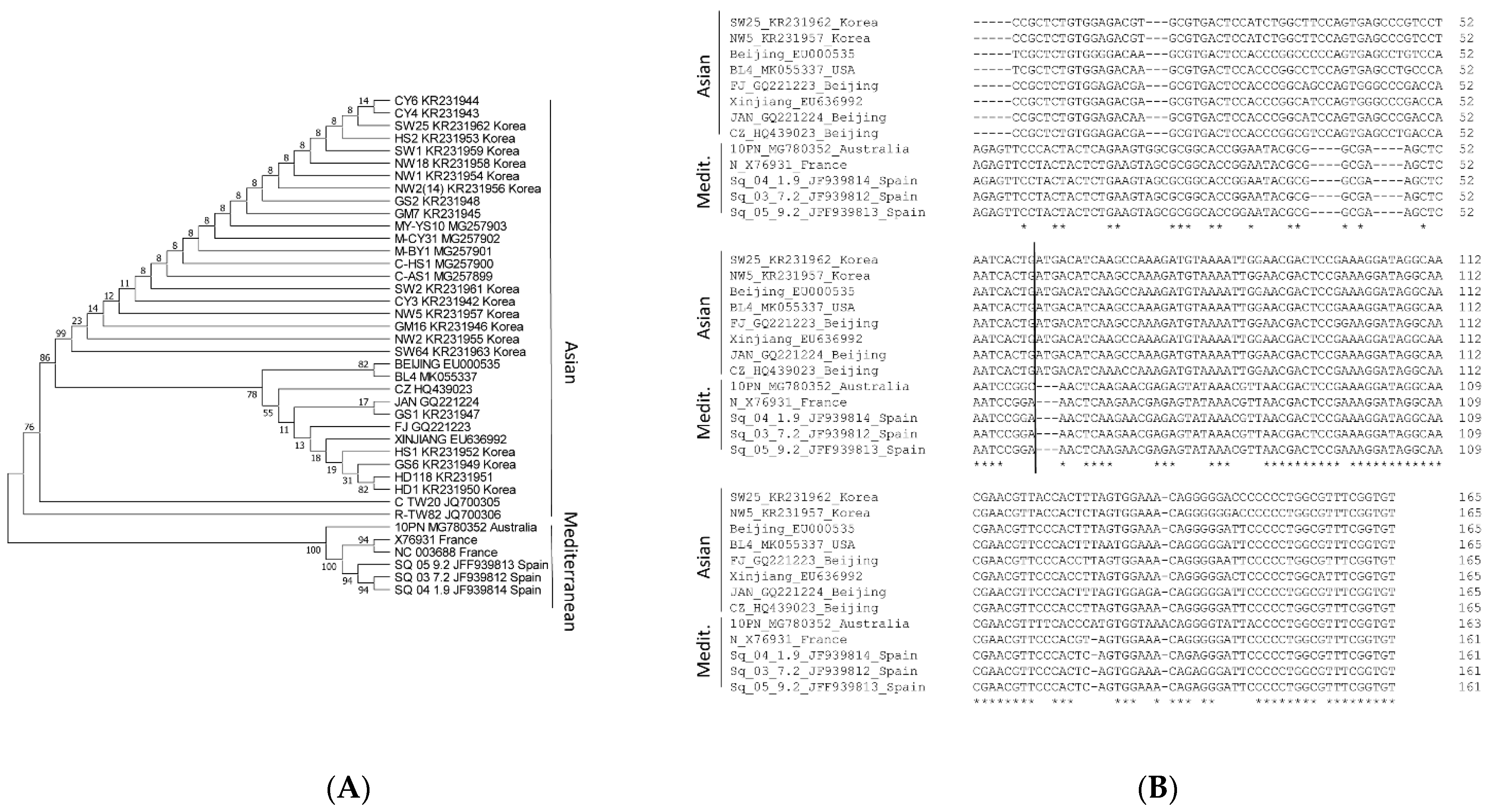 Ijms 23 12503 g001 Ijms 23 12503 g001