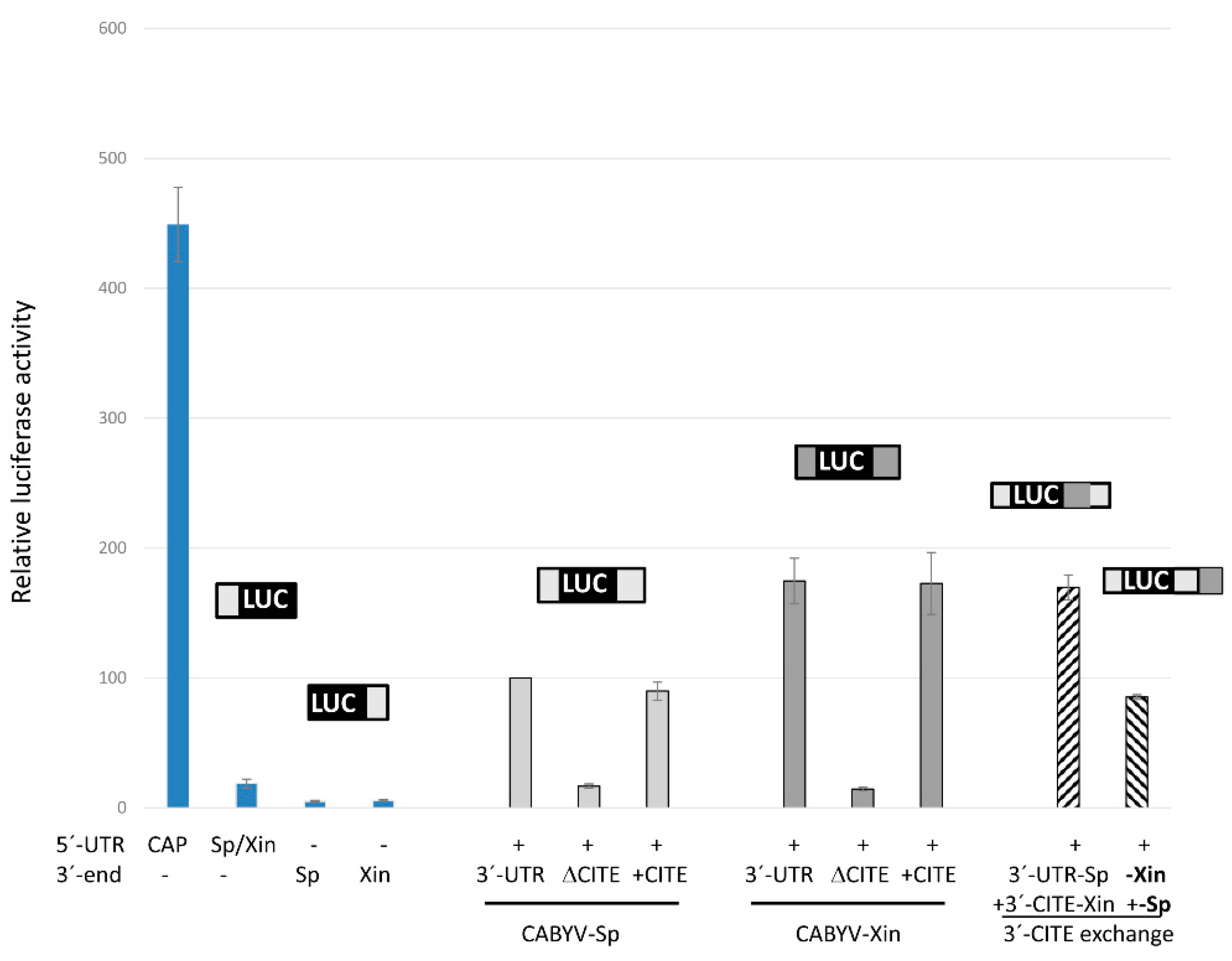 Ijms 23 12503 g002 Ijms 23 12503 g002