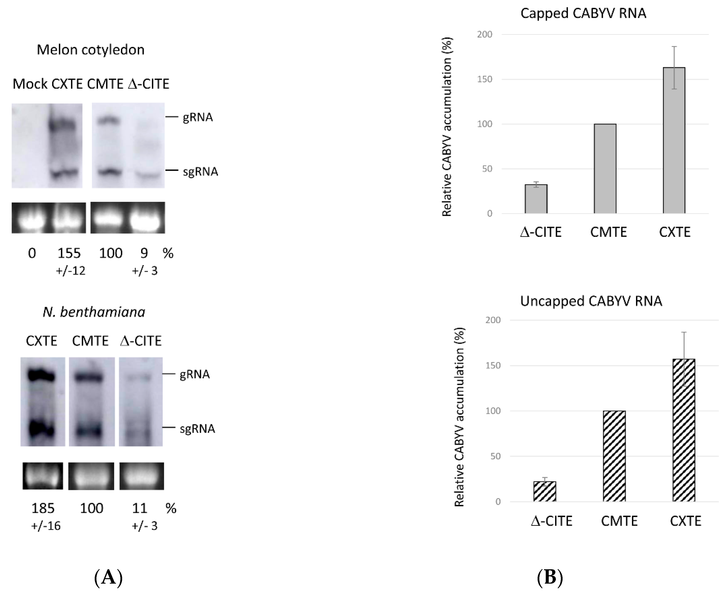Ijms 23 12503 g006 Ijms 23 12503 g006