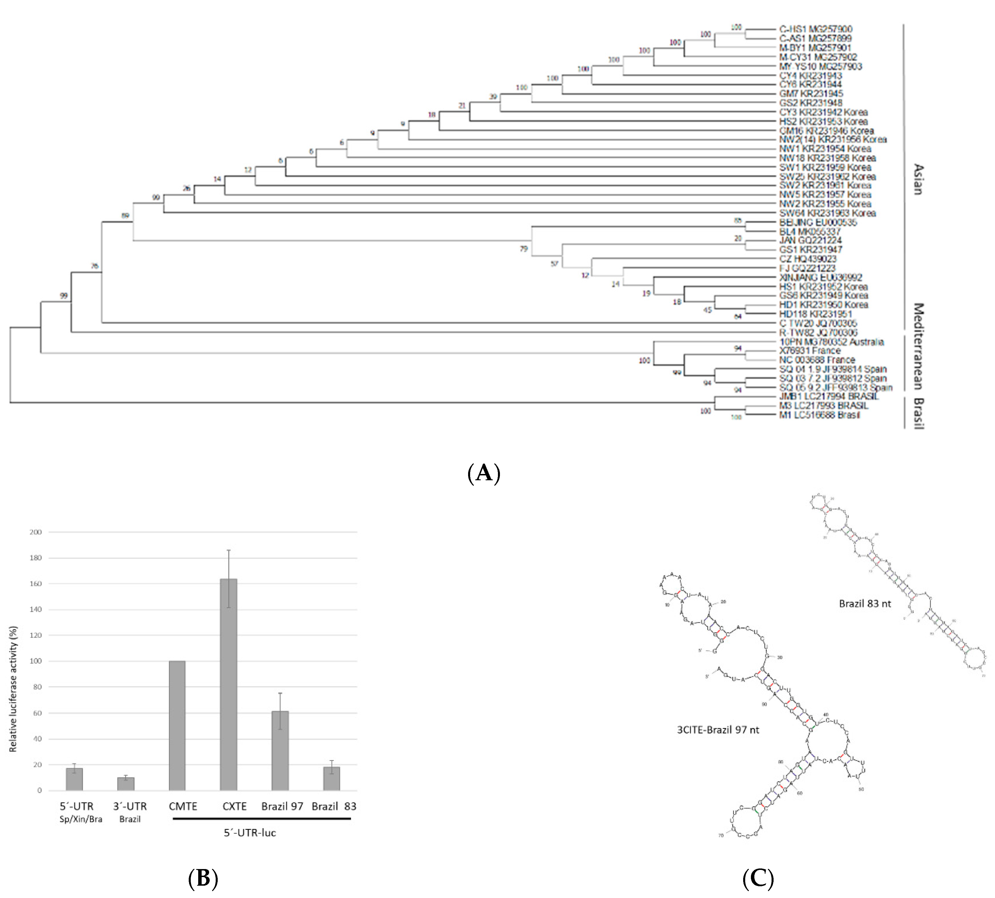 Ijms 23 12503 g007 Ijms 23 12503 g007