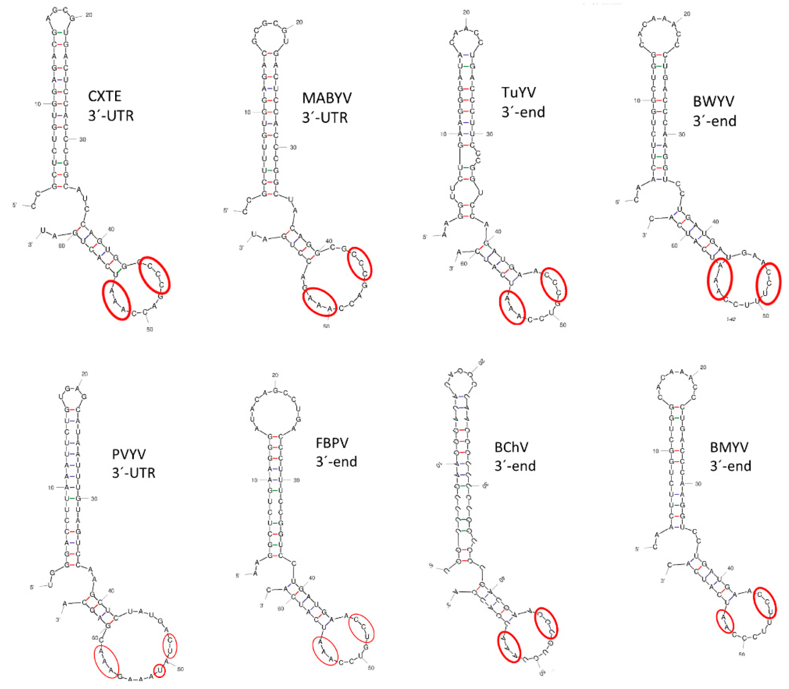 Ijms 23 12503 g008 Ijms 23 12503 g008