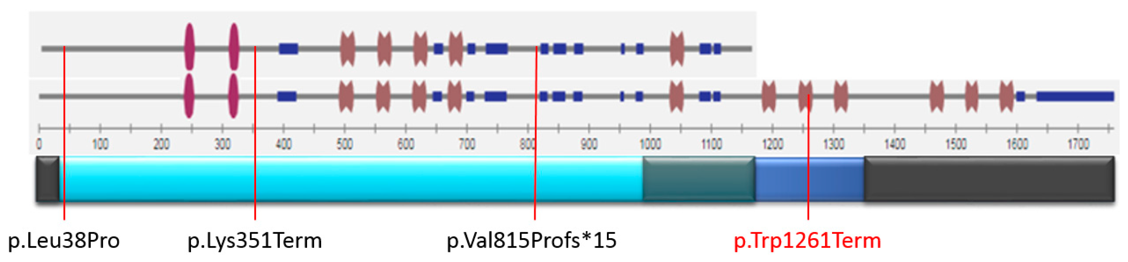 Ijms 23 12506 g002 Ijms 23 12506 g002