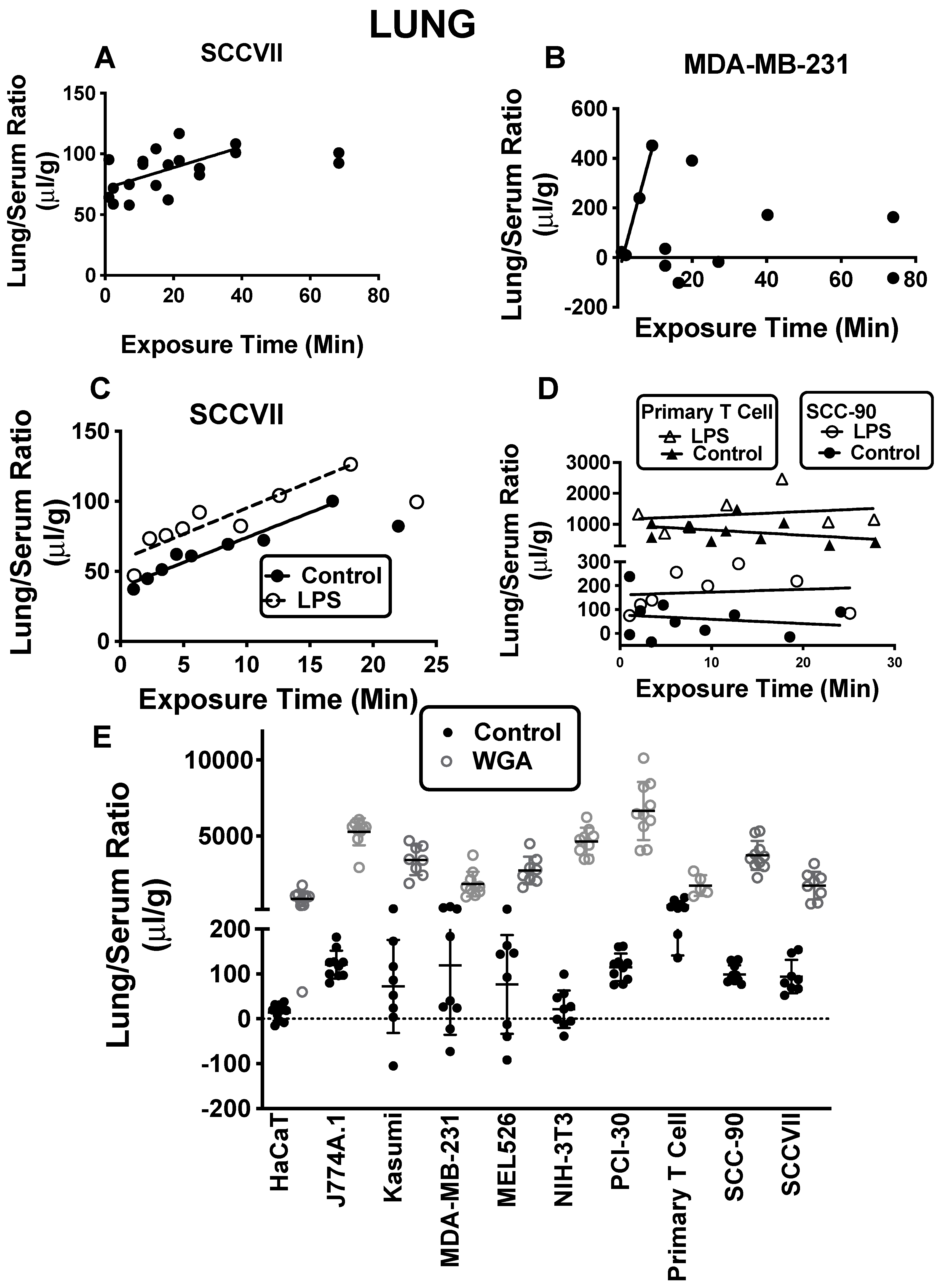 Ijms 23 12513 g003 Ijms 23 12513 g003