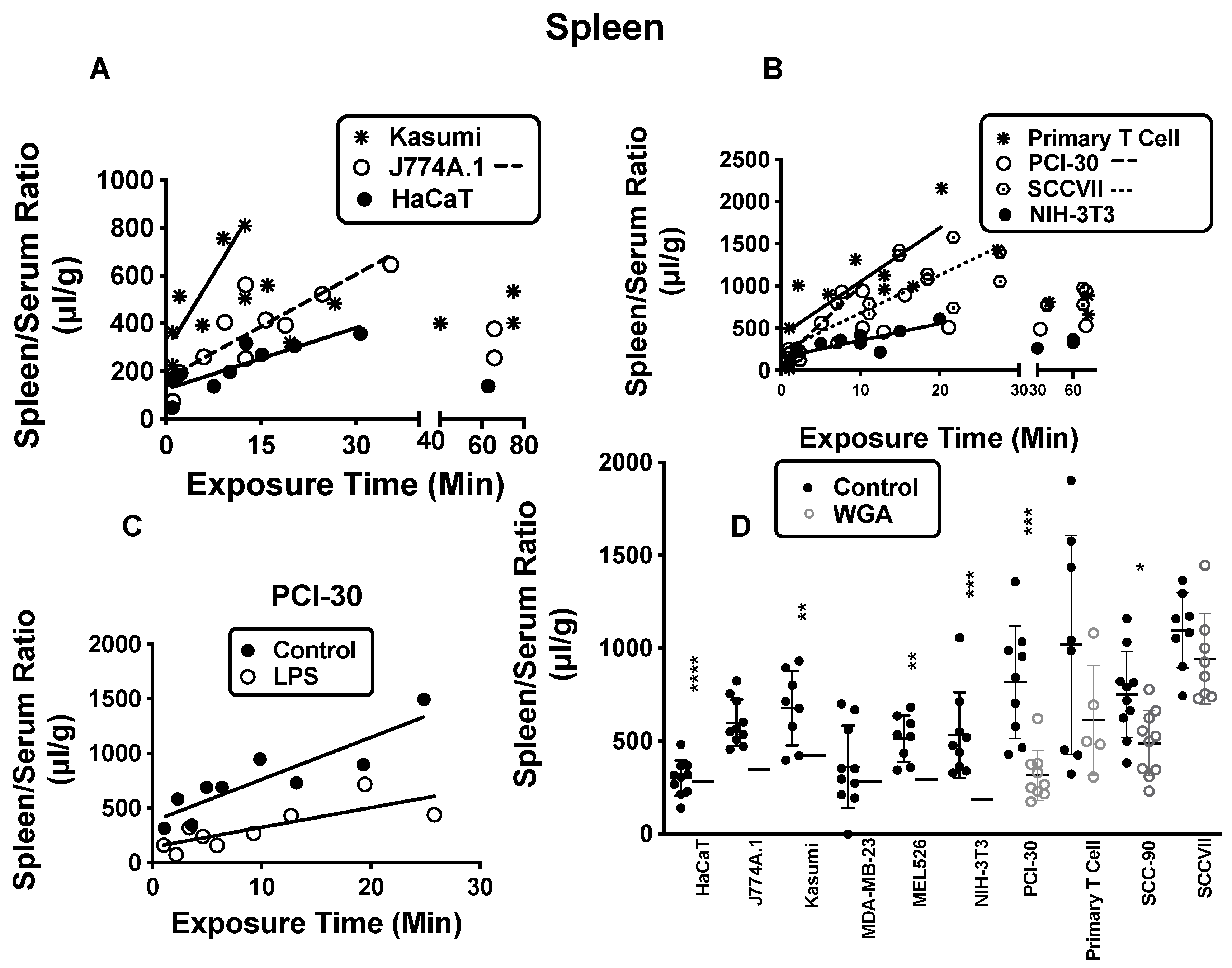 Ijms 23 12513 g004 Ijms 23 12513 g004