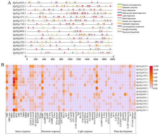 Identification and Investigation of the Genetic Variations and ...