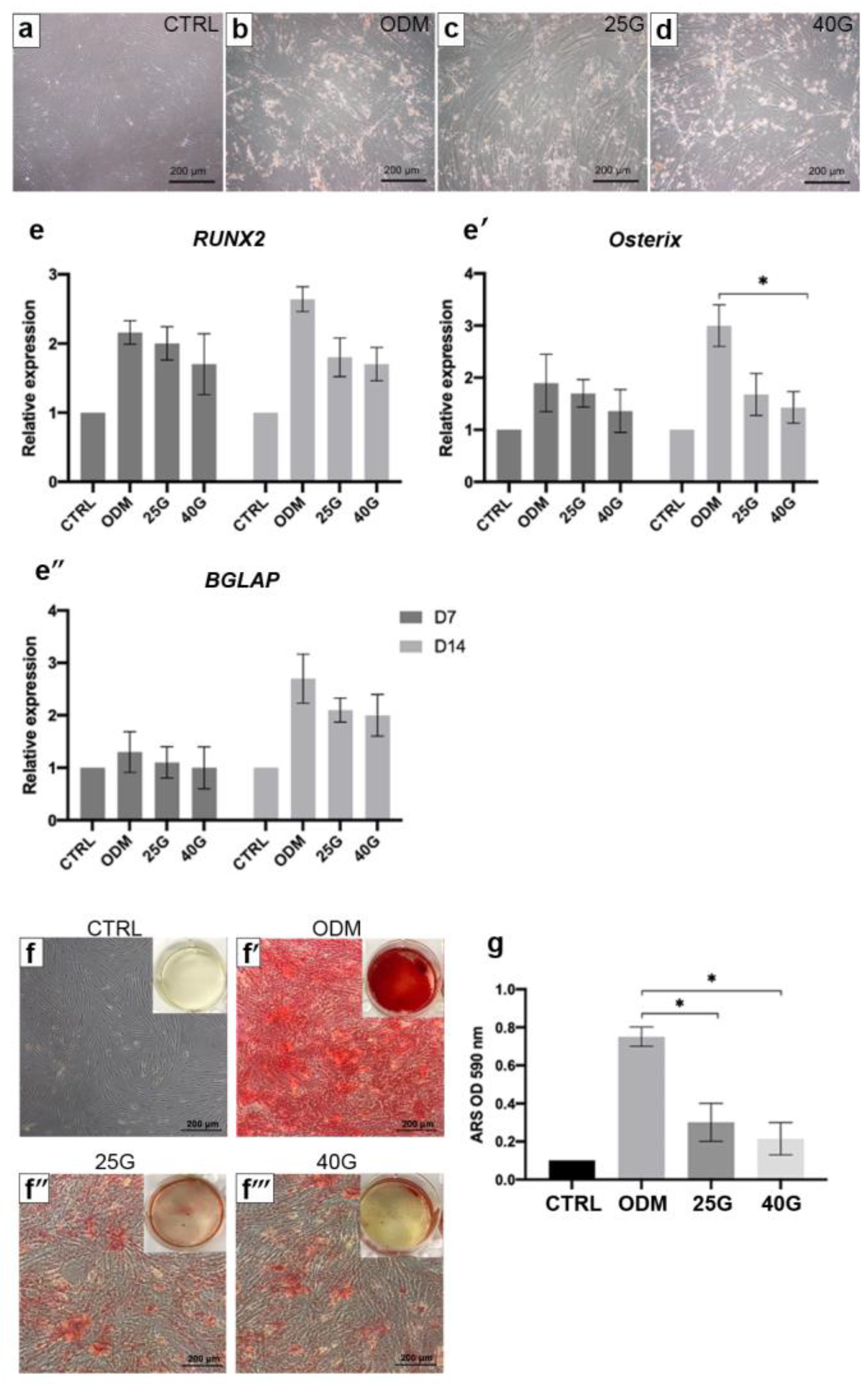 Ijms 23 12521 g002 Ijms 23 12521 g002