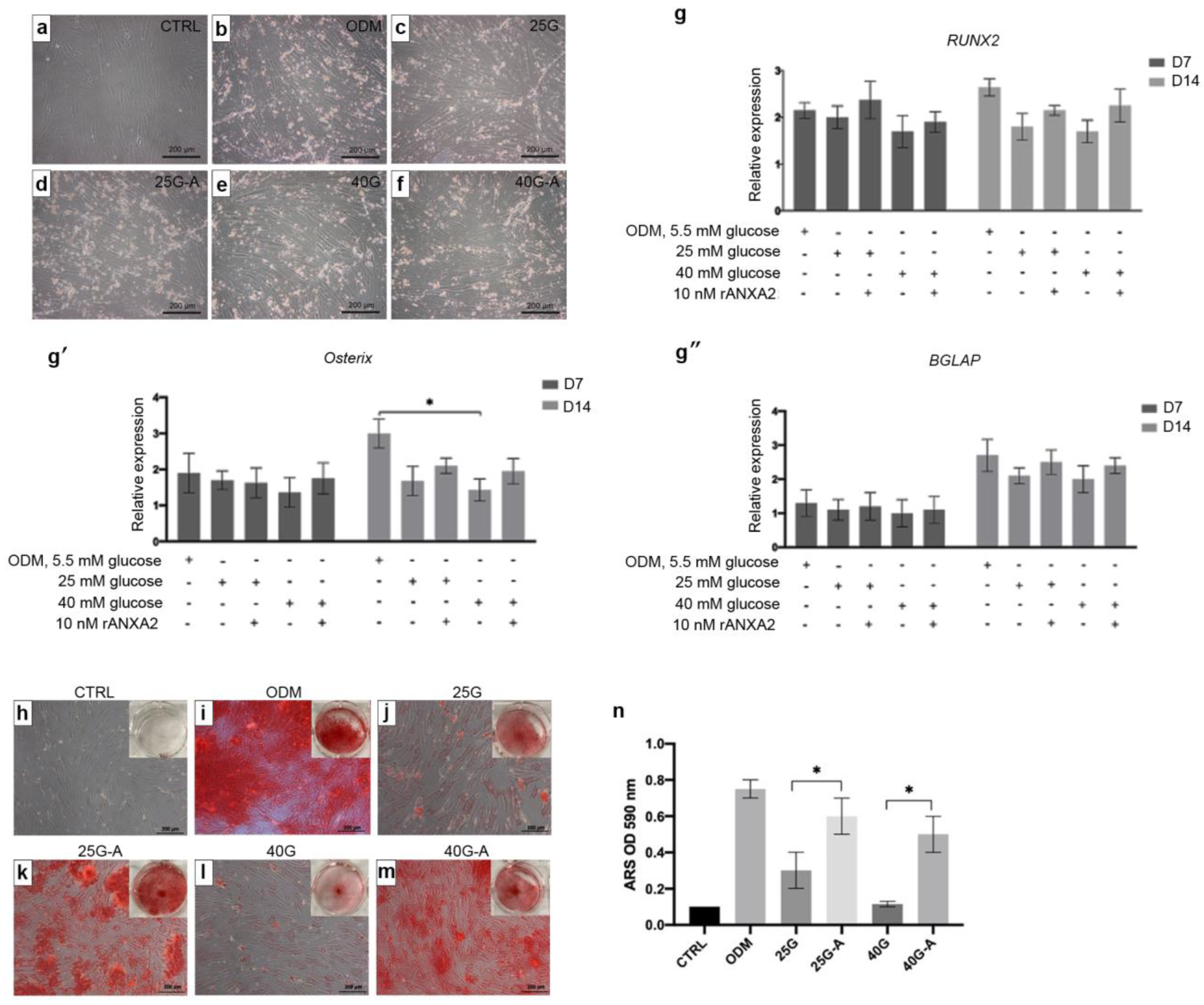 Ijms 23 12521 g004 Ijms 23 12521 g004