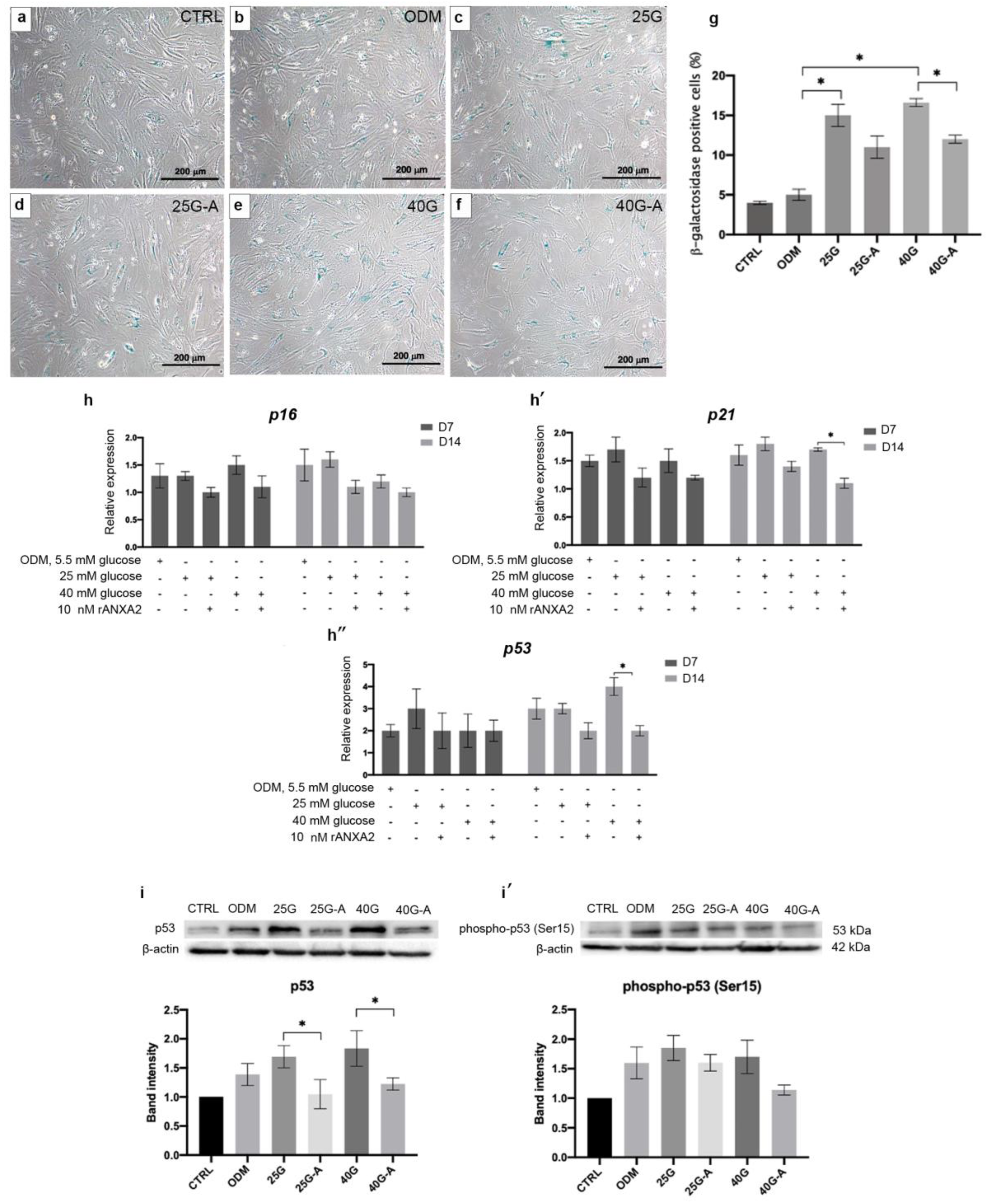 Ijms 23 12521 g005 Ijms 23 12521 g005