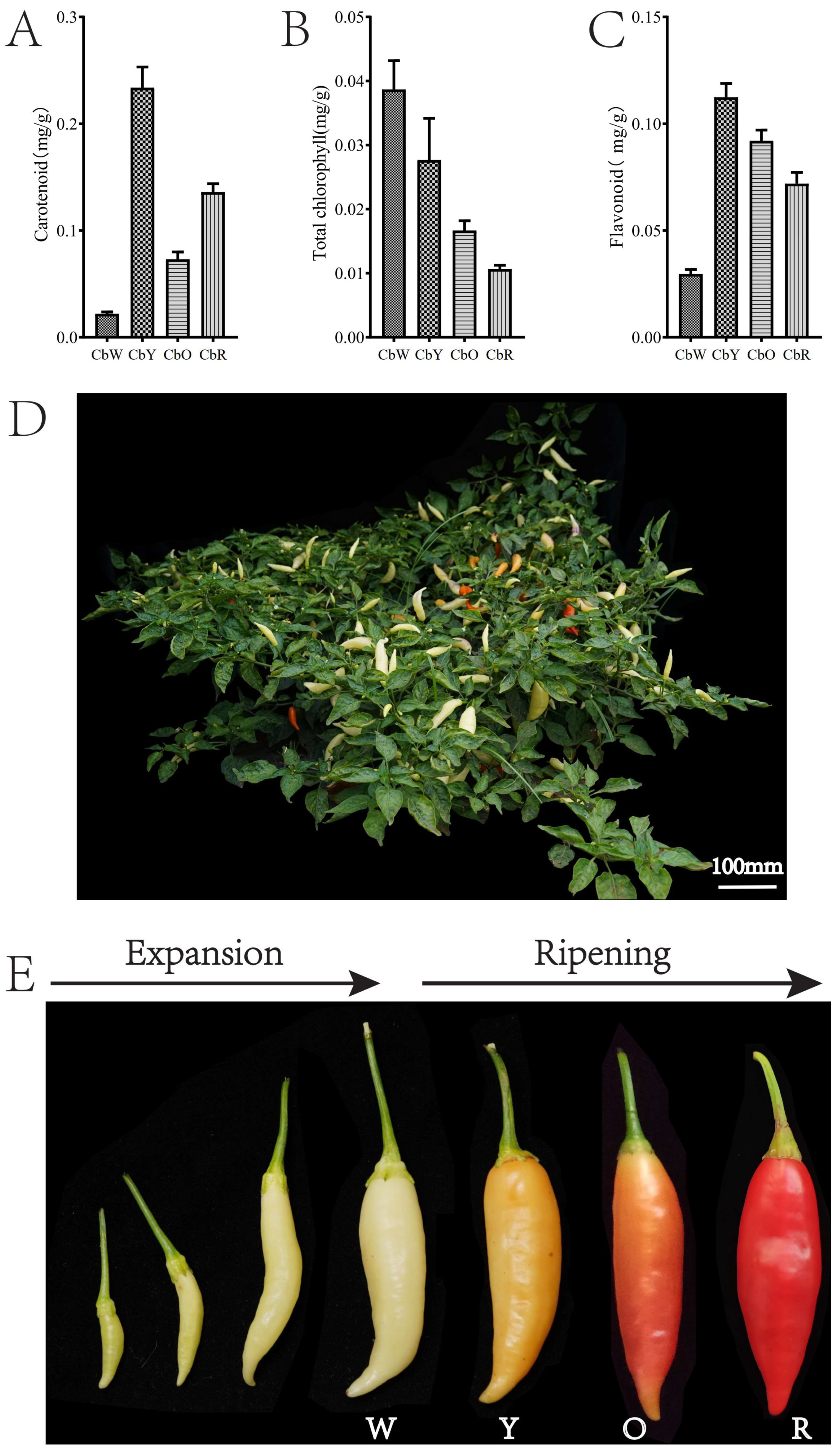 Ijms 23 12524 g001 Ijms 23 12524 g001