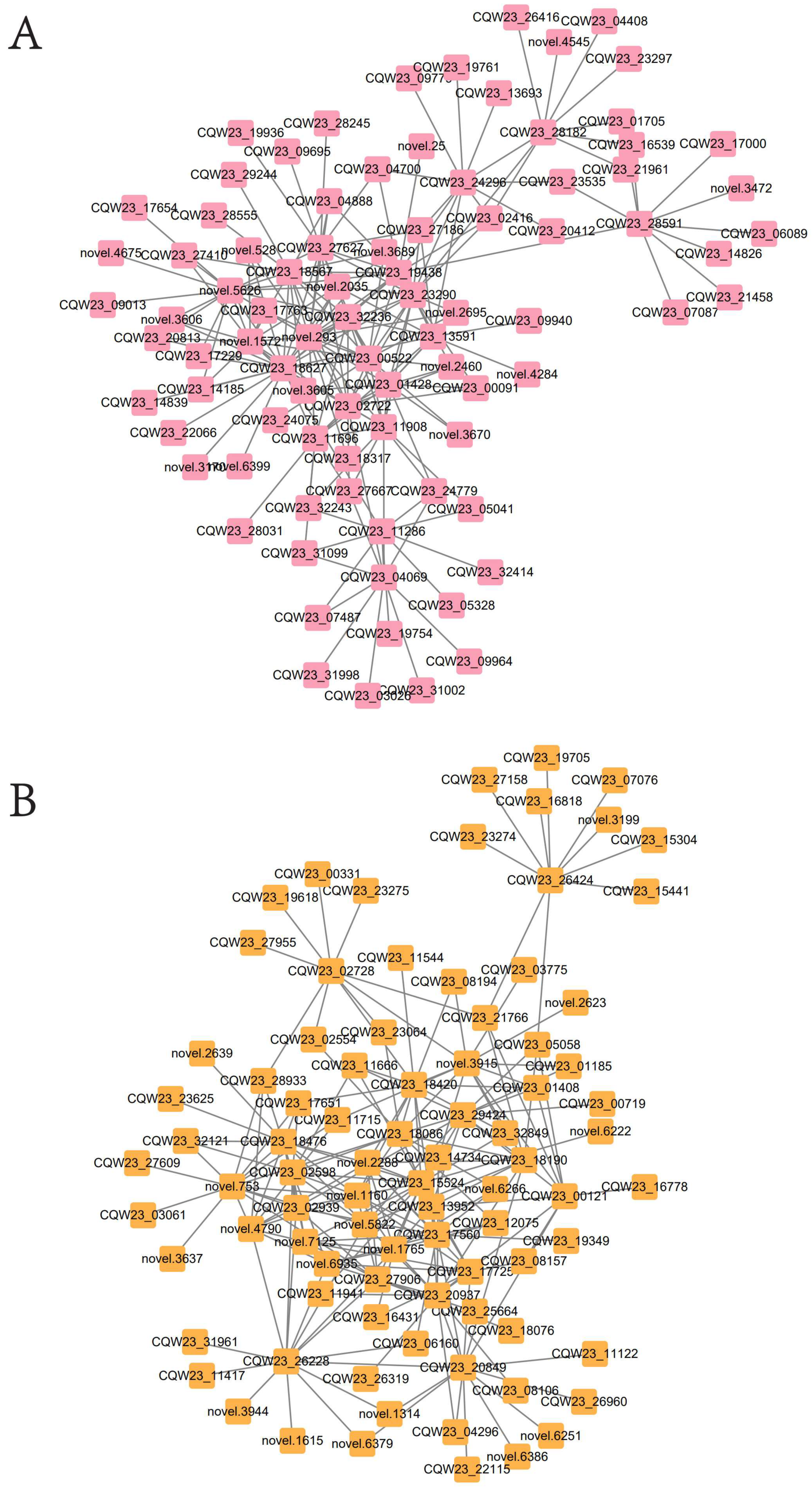 Ijms 23 12524 g006 Ijms 23 12524 g006