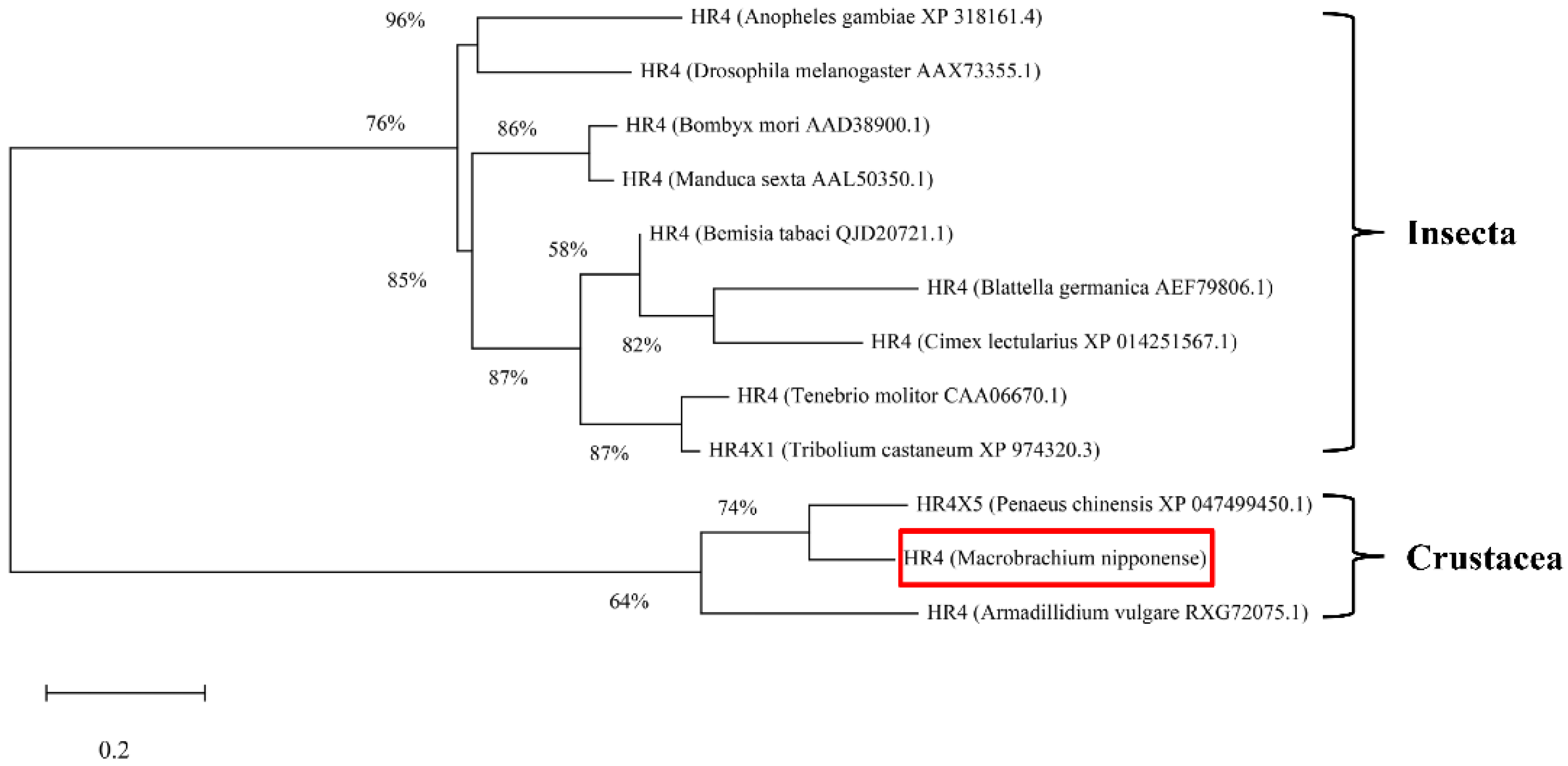 Ijms 23 12528 g002 Ijms 23 12528 g002