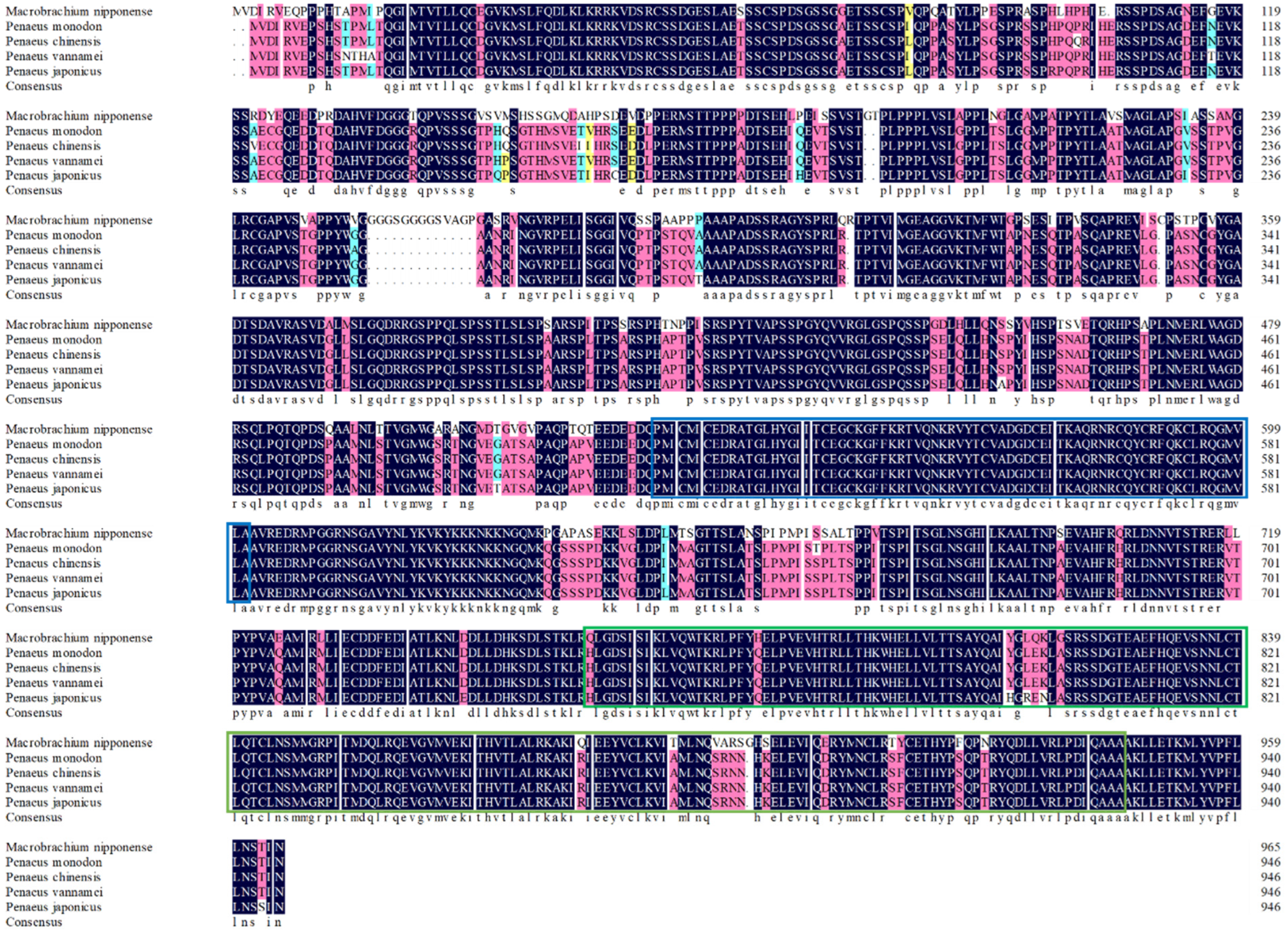 Ijms 23 12528 g003 Ijms 23 12528 g003