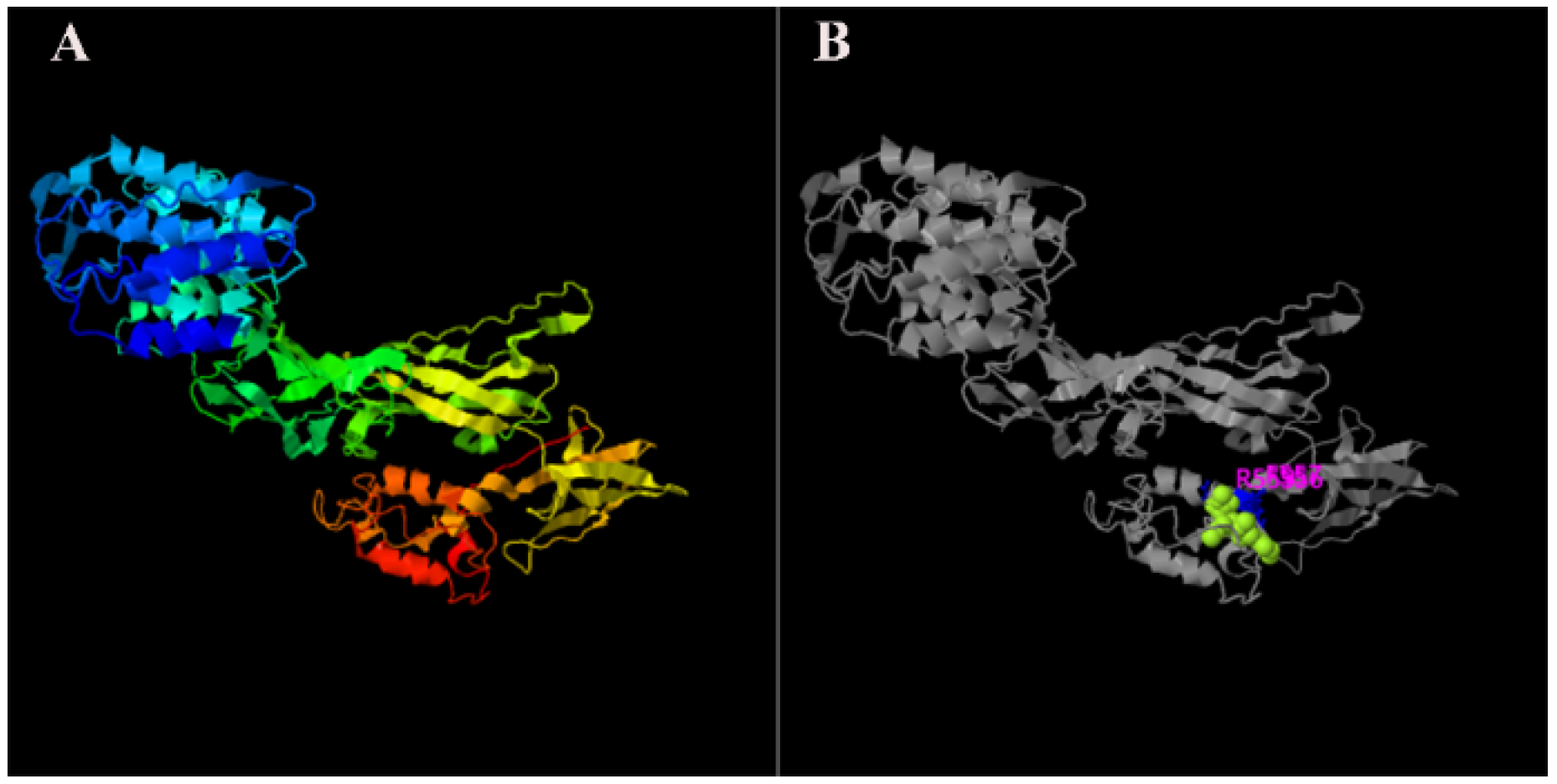 Ijms 23 12528 g004 Ijms 23 12528 g004