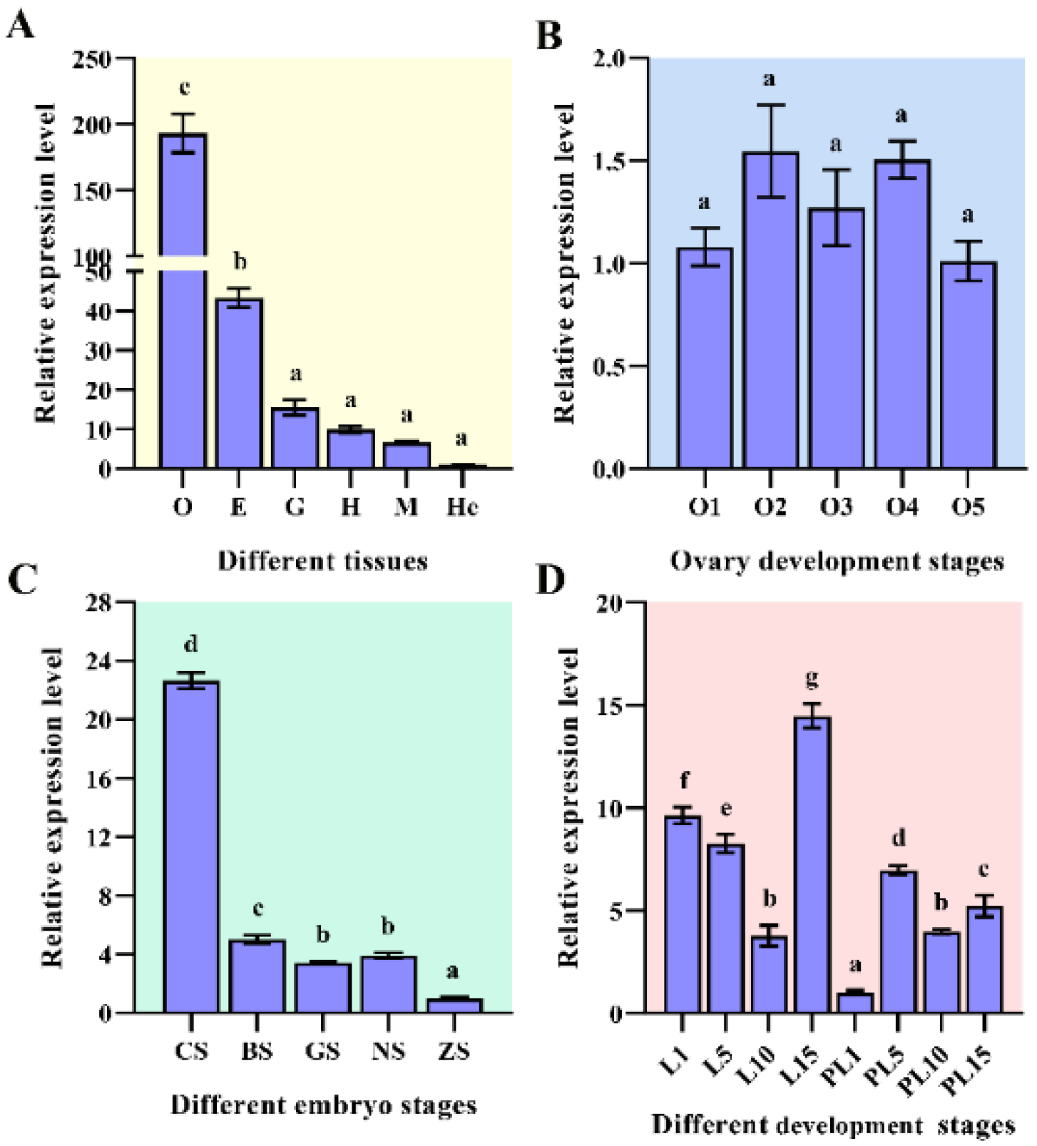 Ijms 23 12528 g005 Ijms 23 12528 g005