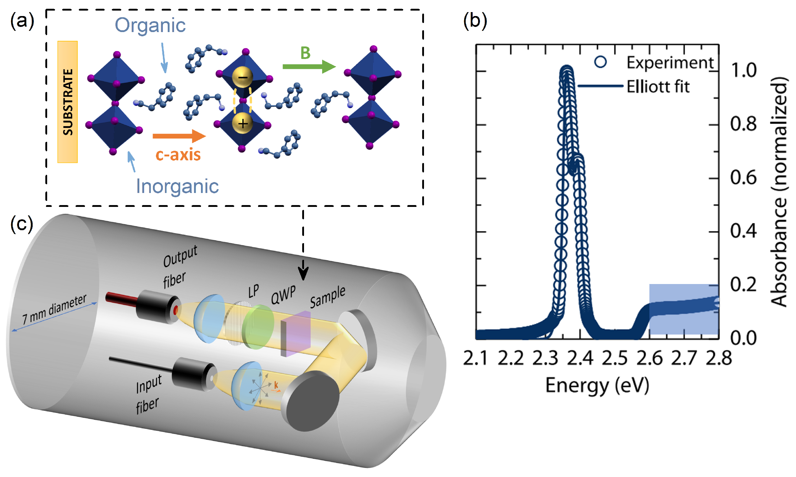 Ijms 23 12531 g001 Ijms 23 12531 g001