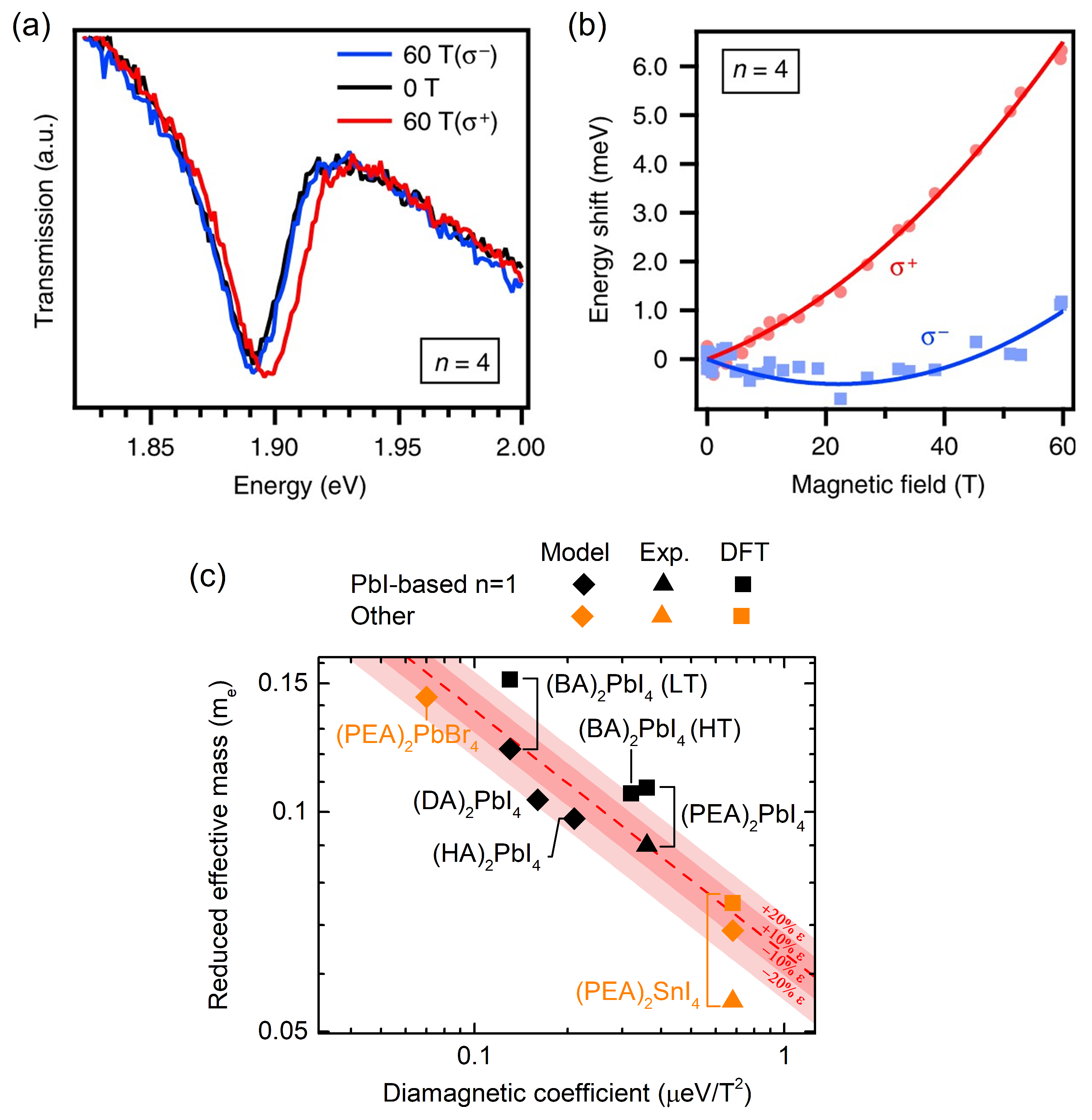 Ijms 23 12531 g004 Ijms 23 12531 g004