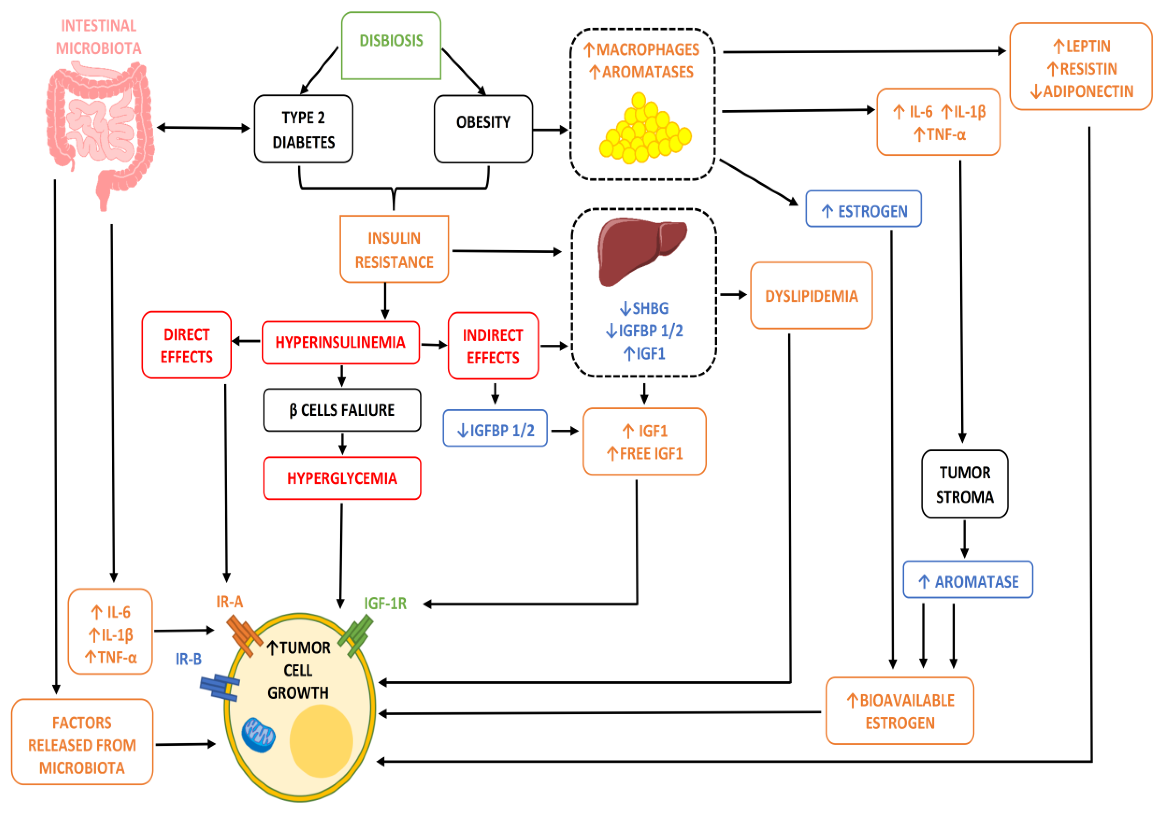Ijms 23 12538 g001 Ijms 23 12538 g001