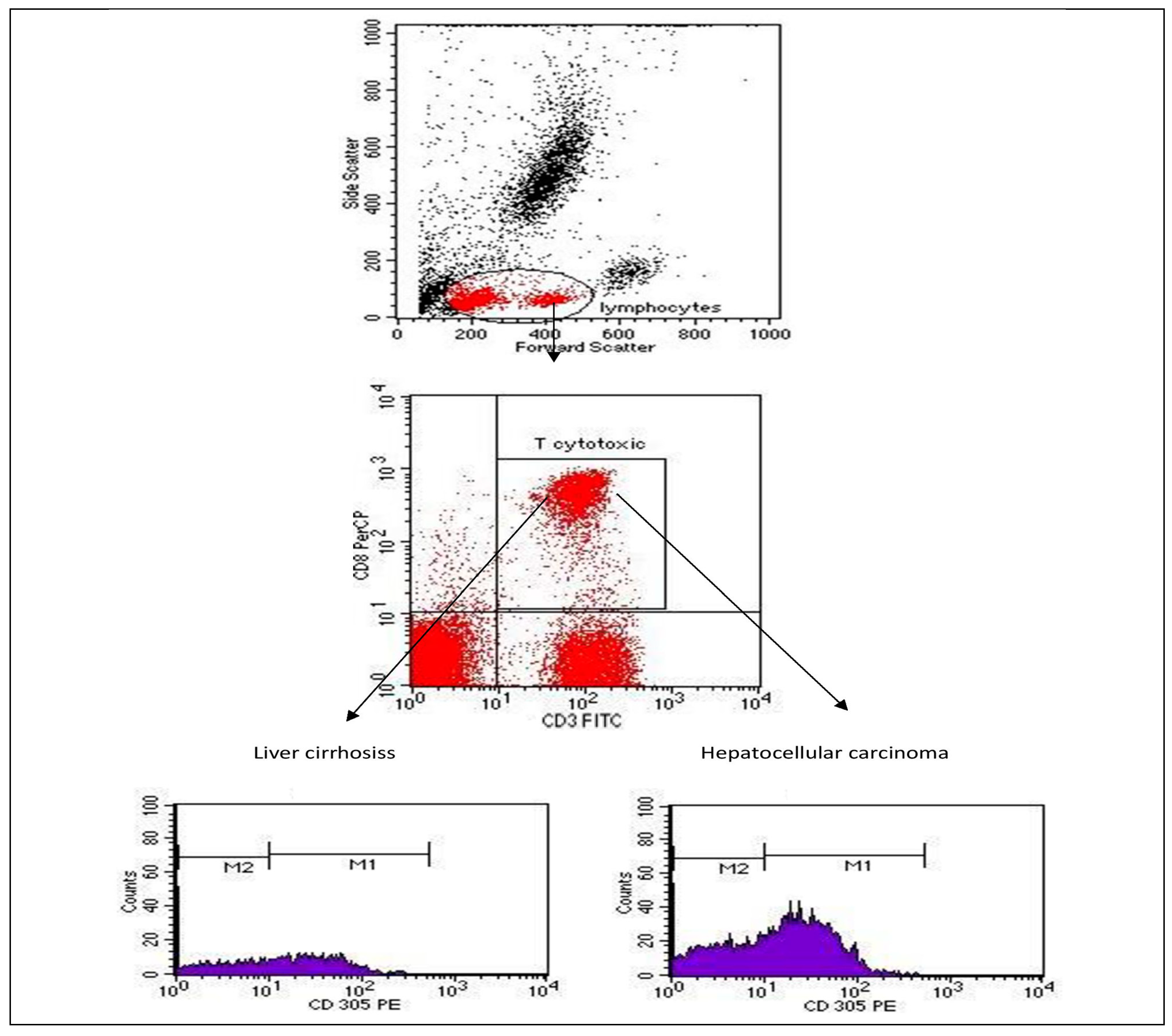 Ijms 23 12541 g001 Ijms 23 12541 g001