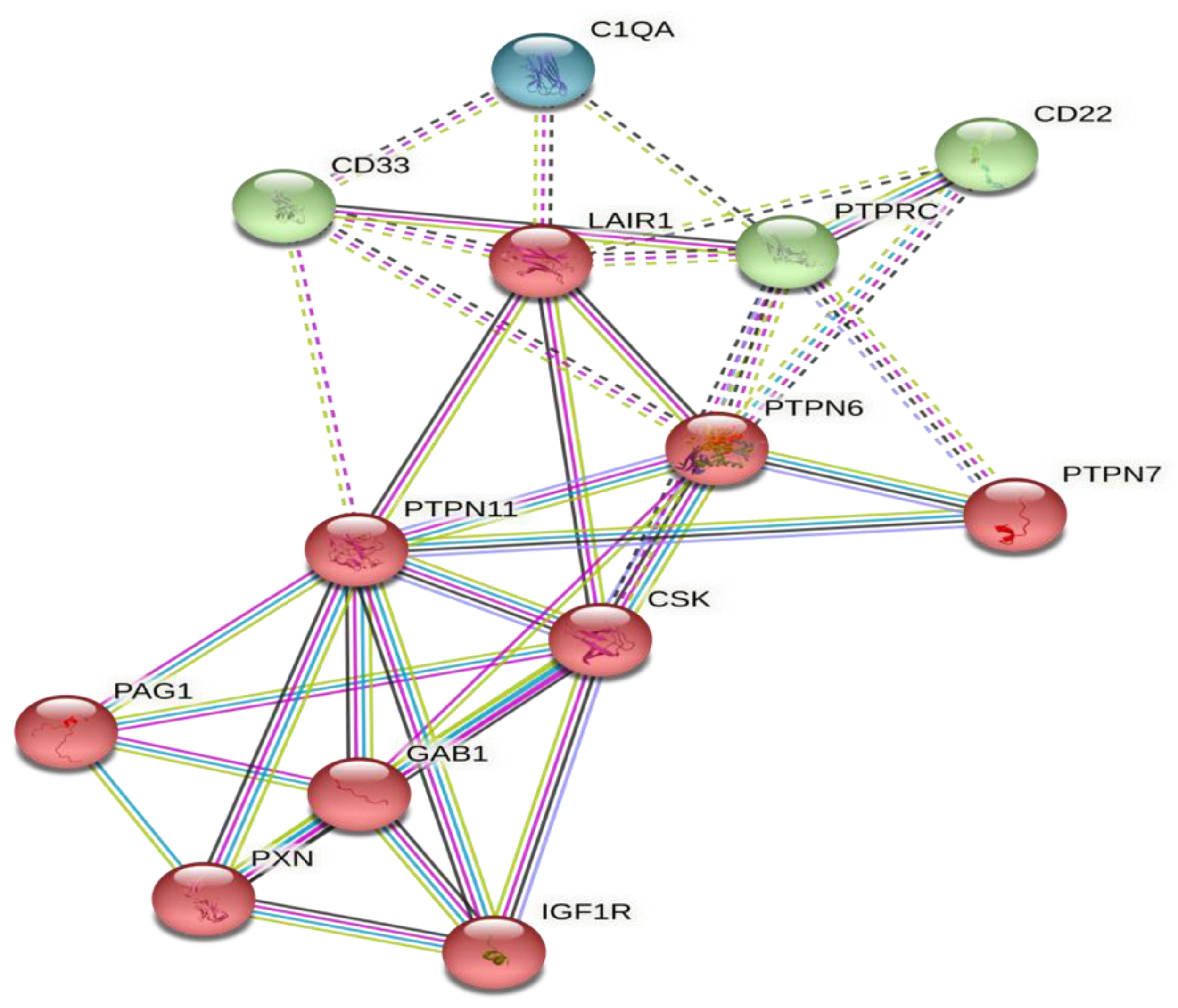 Ijms 23 12541 g004 Ijms 23 12541 g004