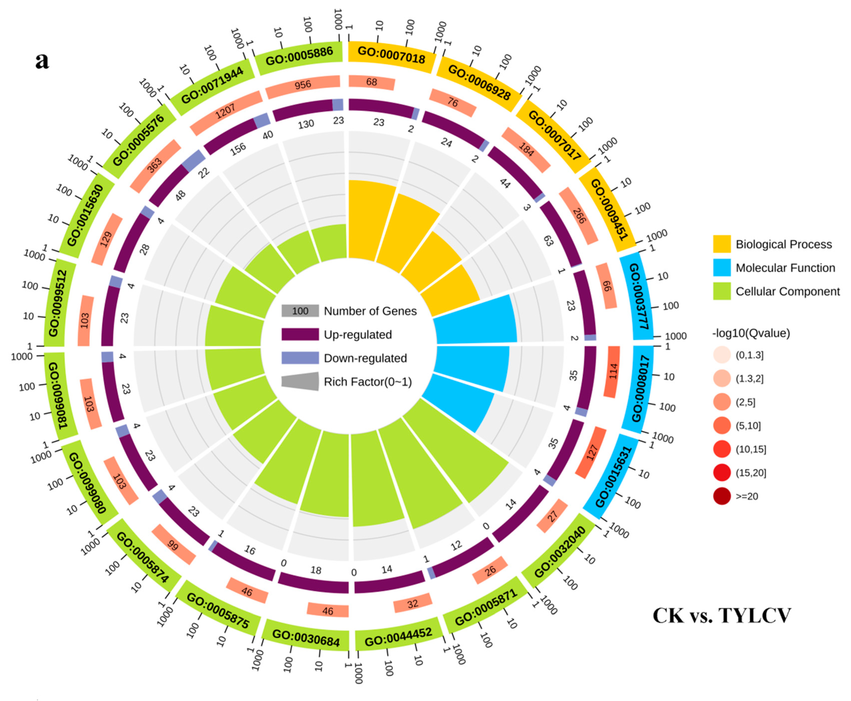 Ijms 23 12542 g003a Ijms 23 12542 g003a