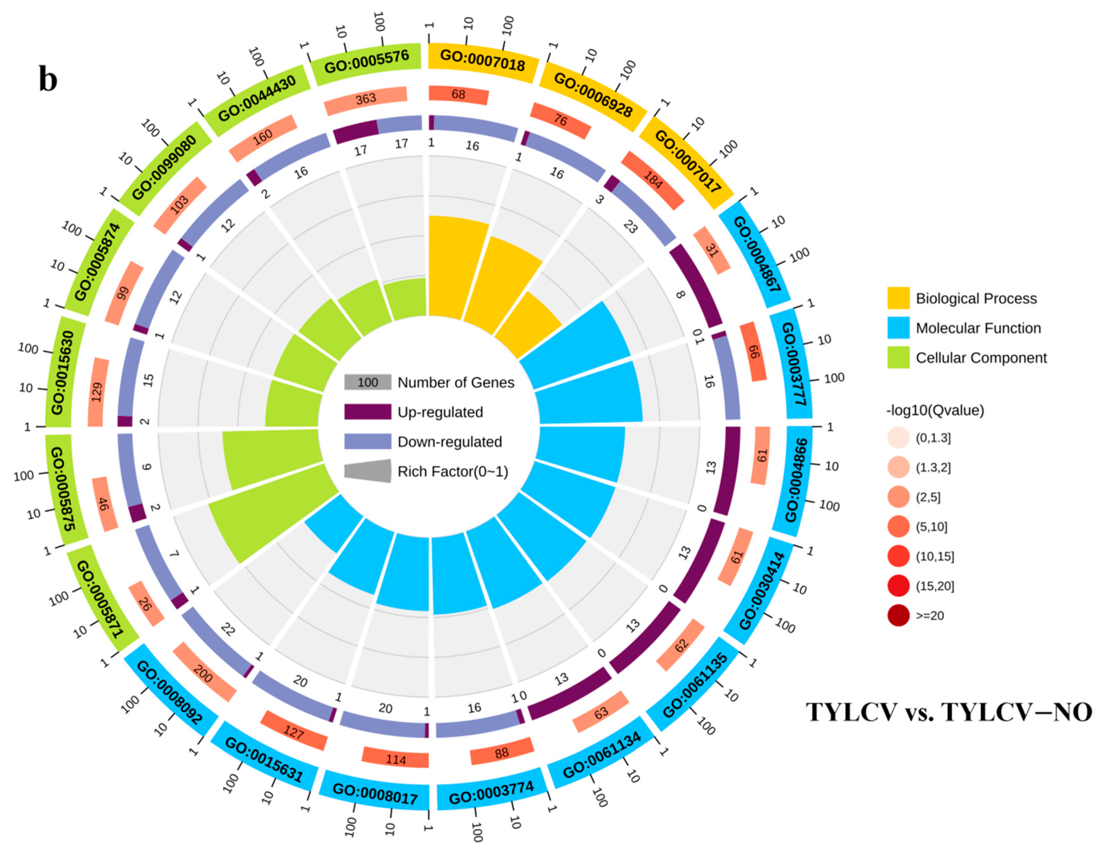 Ijms 23 12542 g003b Ijms 23 12542 g003b