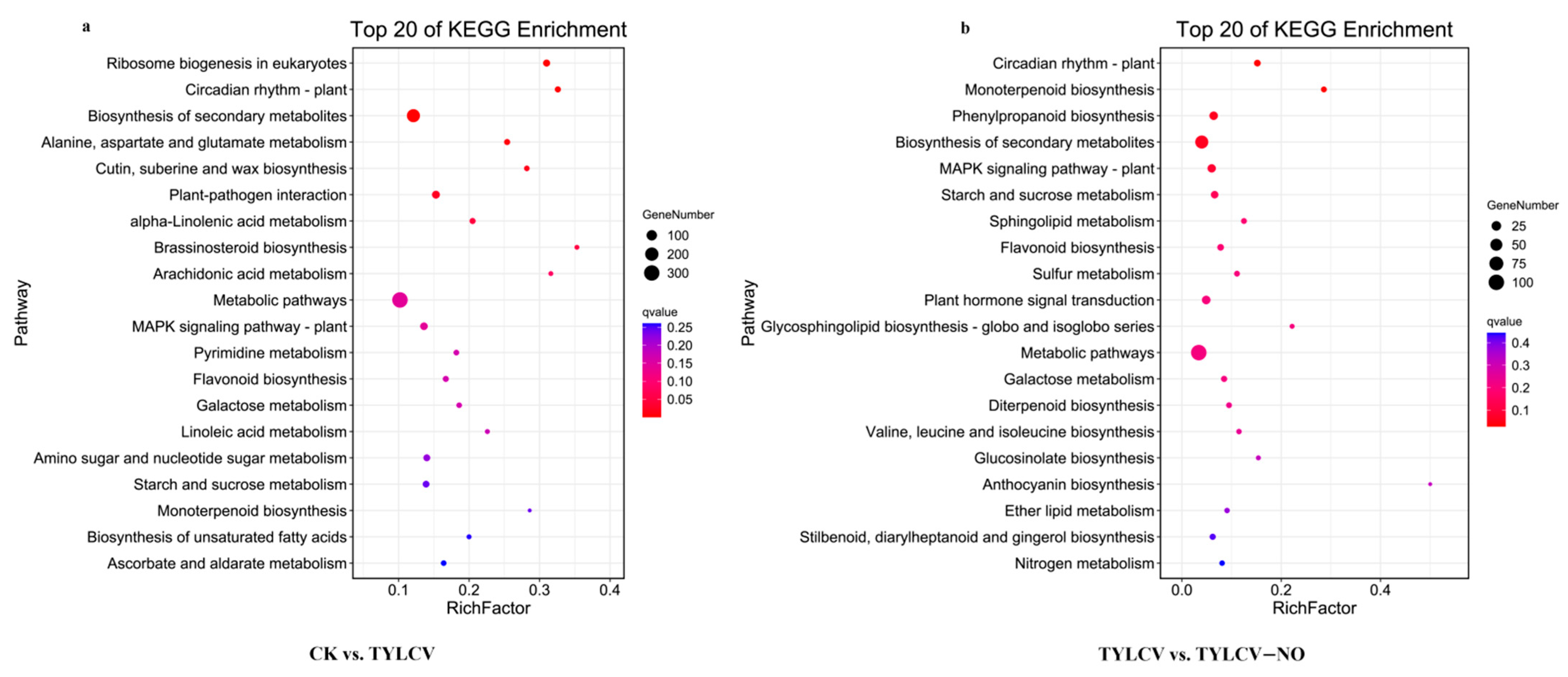 Ijms 23 12542 g004 Ijms 23 12542 g004