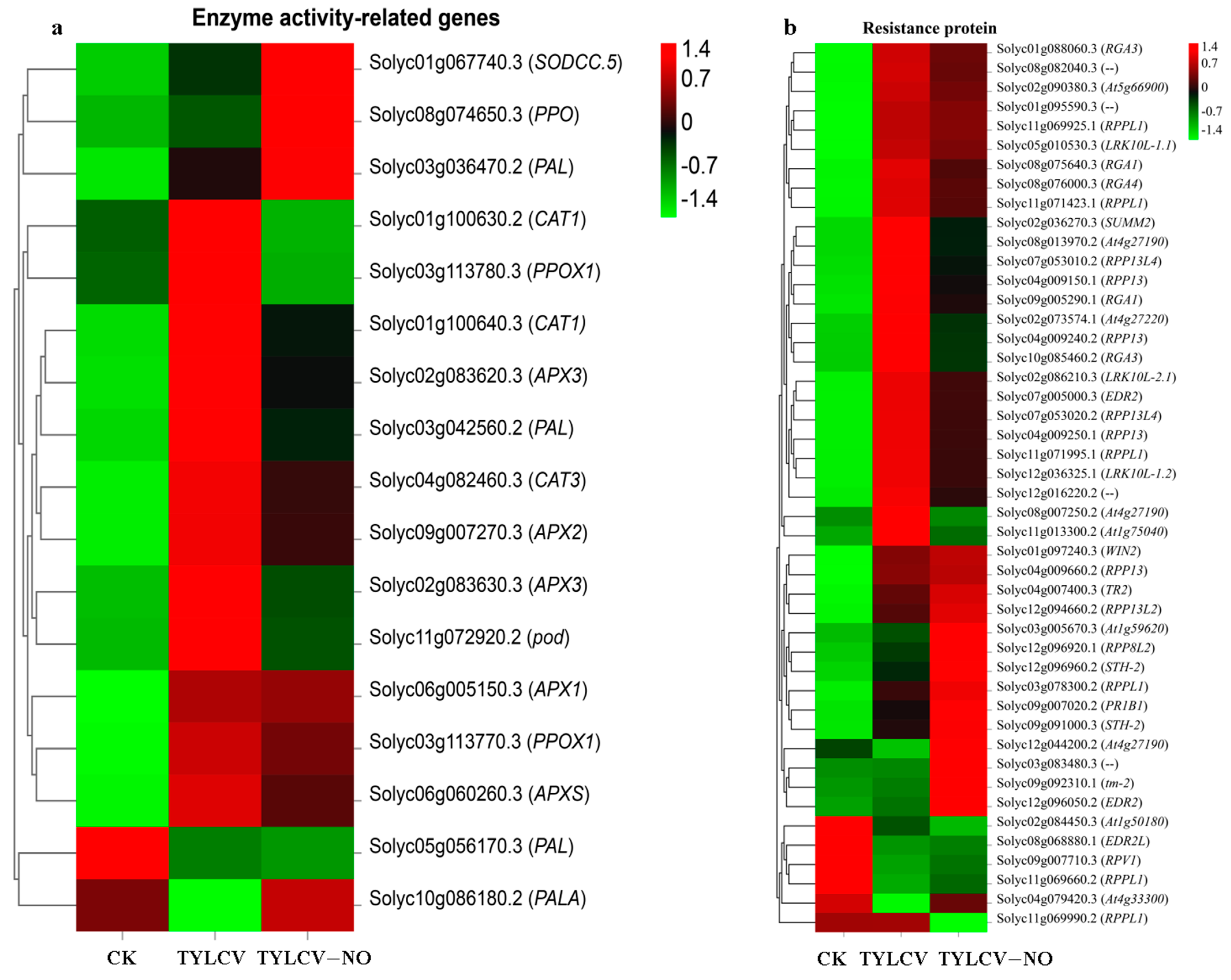 Ijms 23 12542 g005 Ijms 23 12542 g005