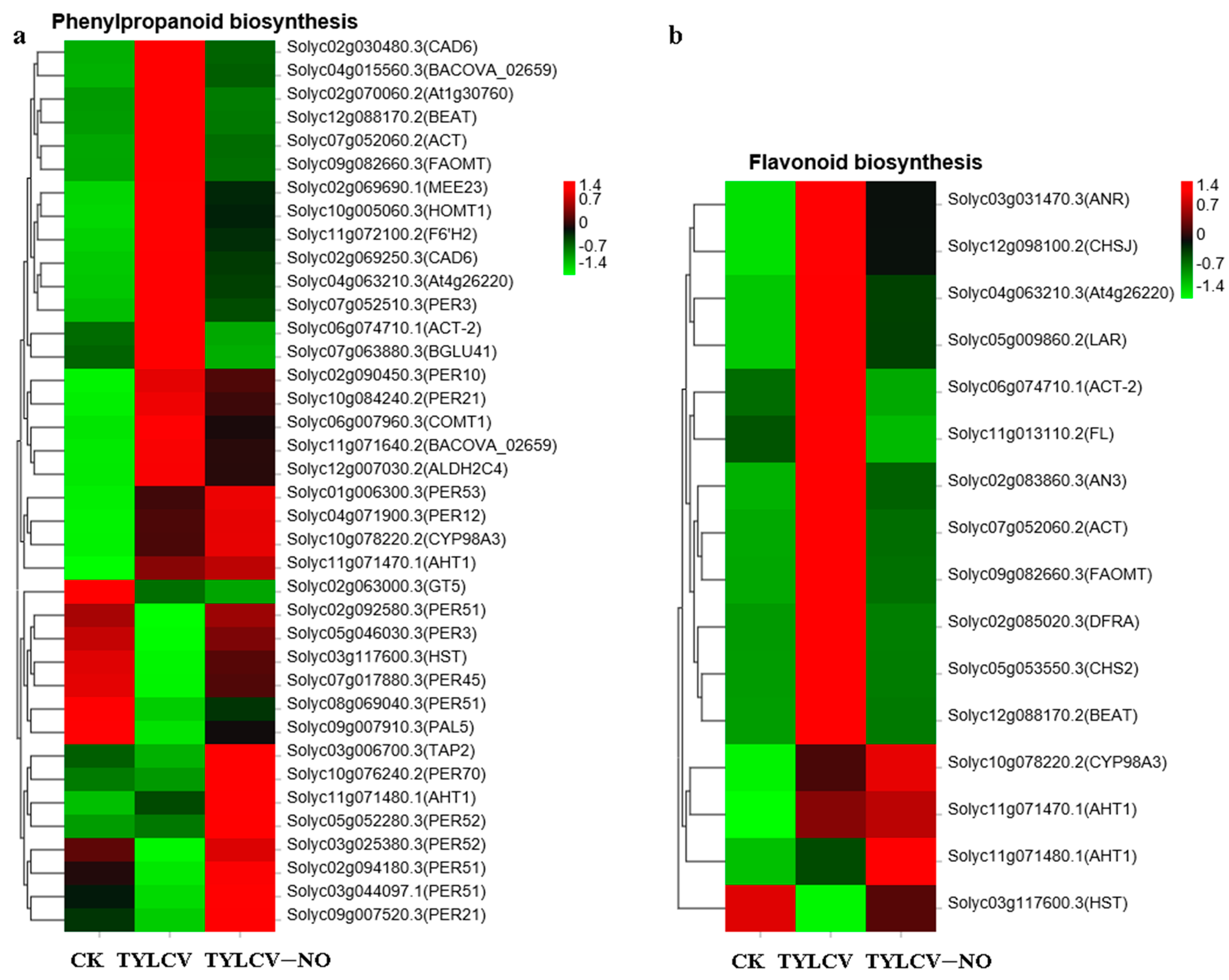 Ijms 23 12542 g006 Ijms 23 12542 g006