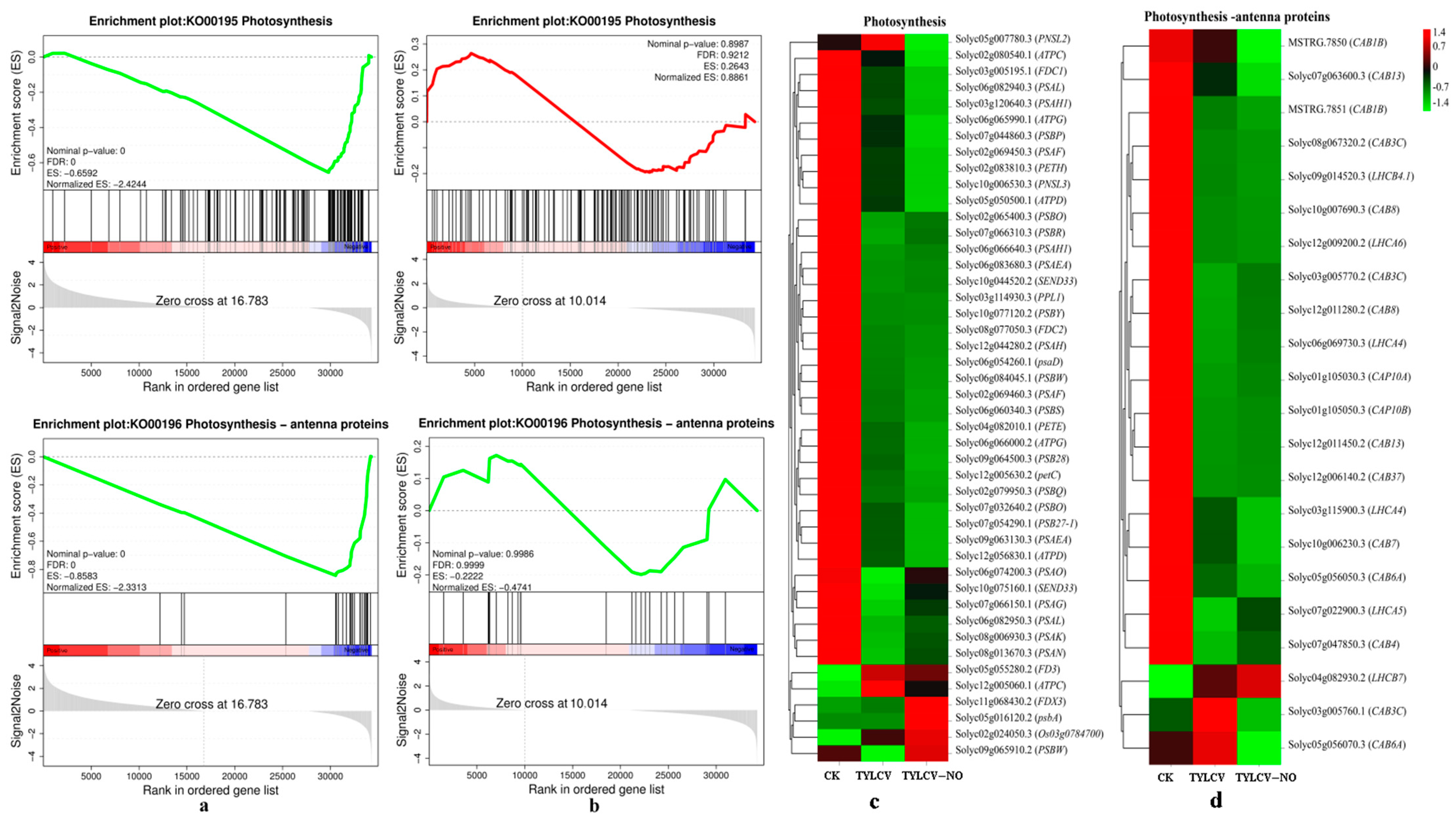 Ijms 23 12542 g008 Ijms 23 12542 g008