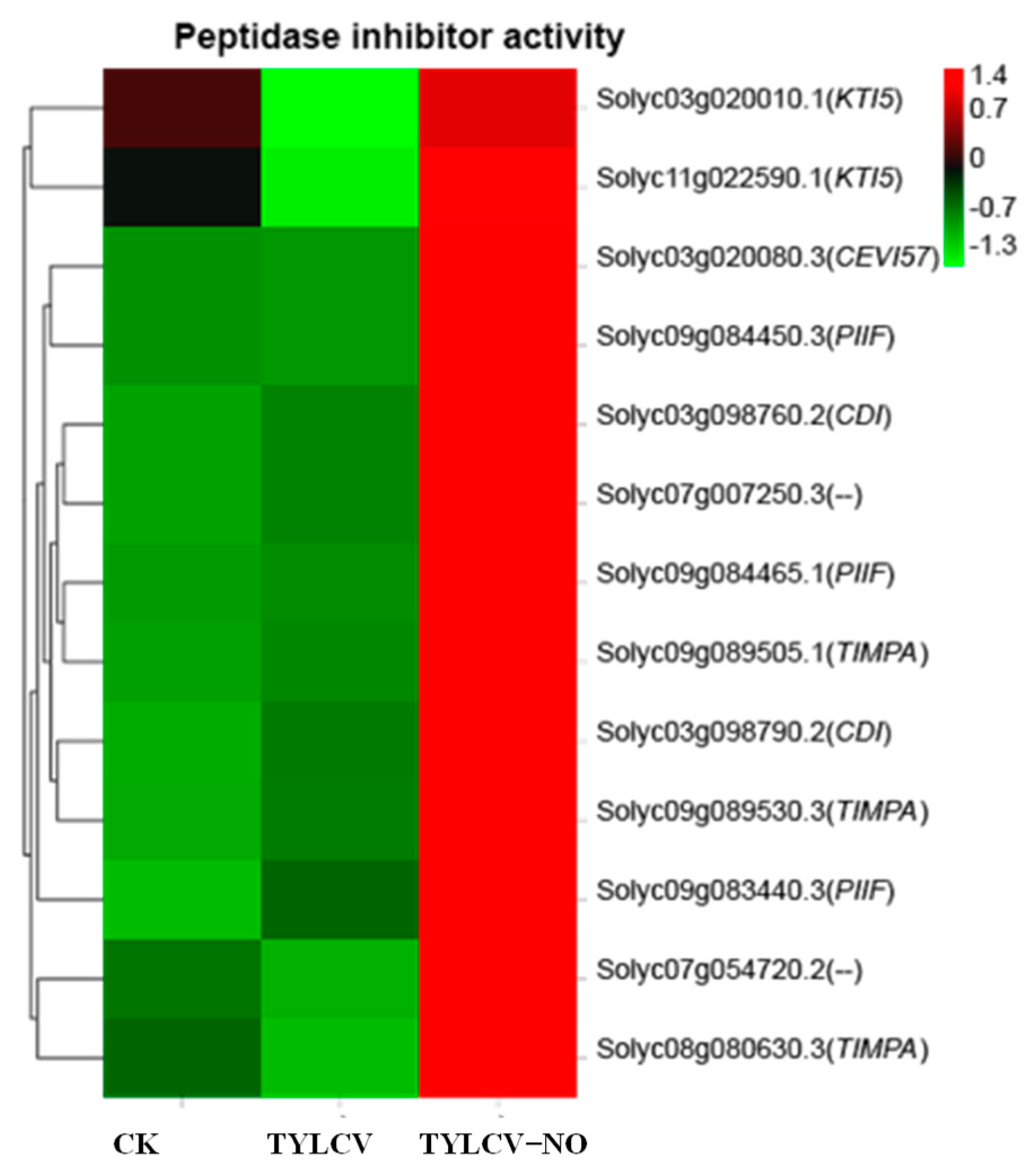 Ijms 23 12542 g009 Ijms 23 12542 g009