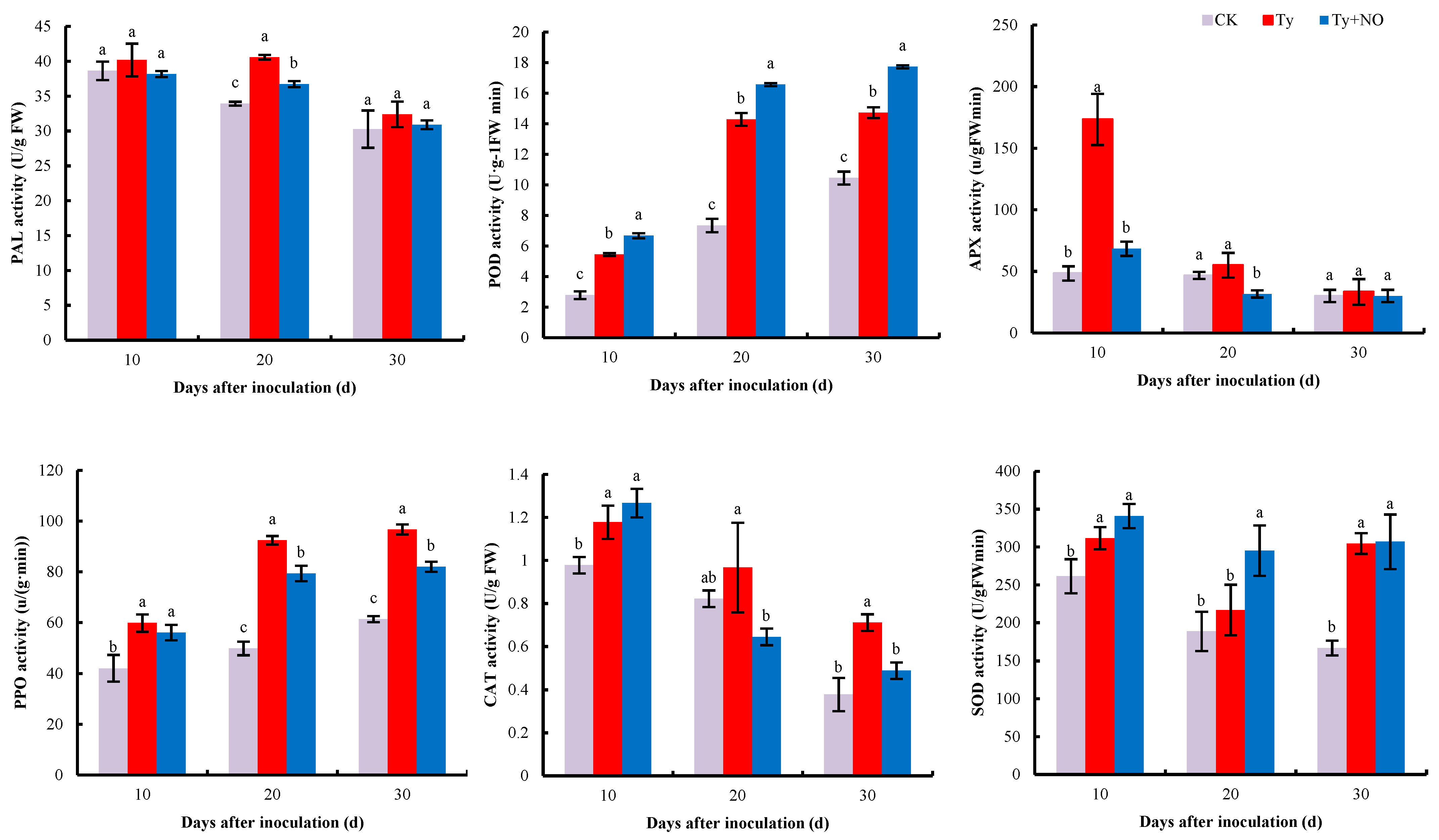 Ijms 23 12542 g011 Ijms 23 12542 g011