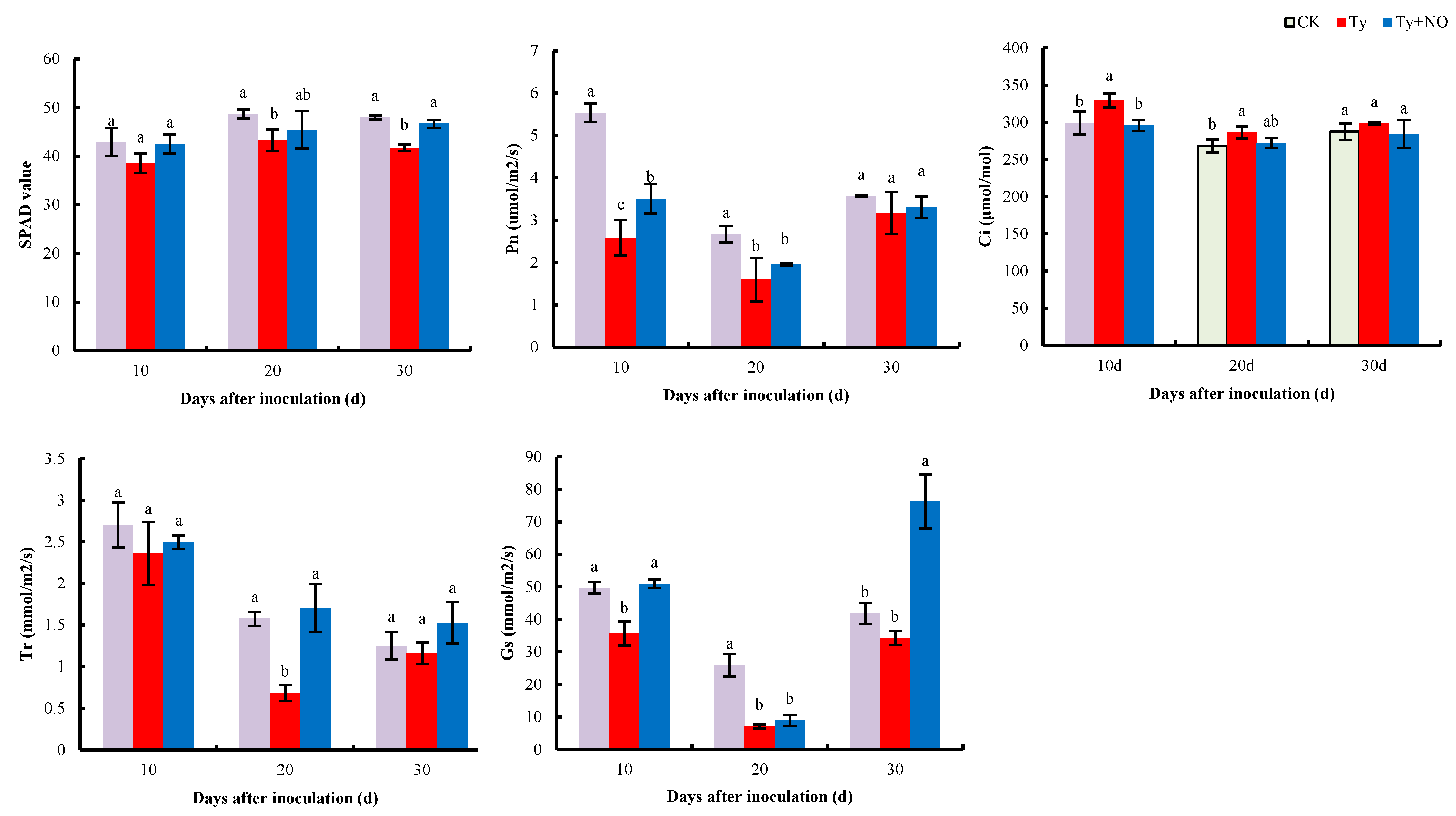 Ijms 23 12542 g012 Ijms 23 12542 g012