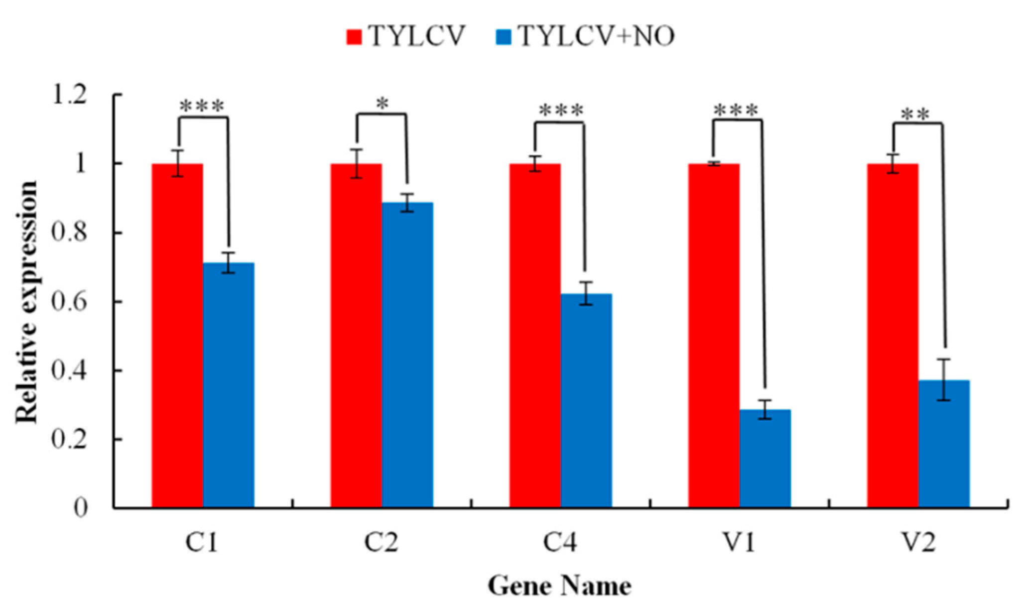 Ijms 23 12542 g013 Ijms 23 12542 g013
