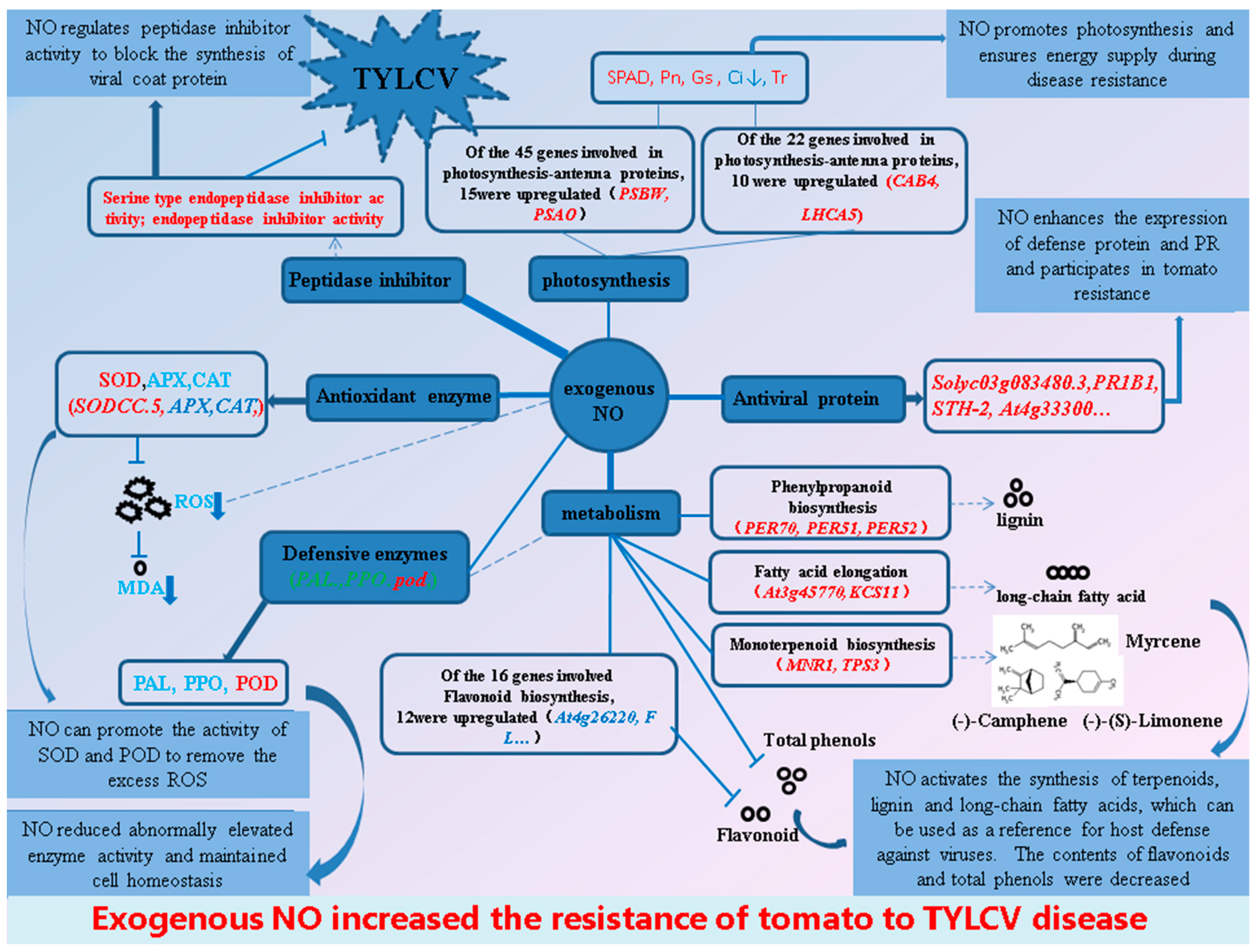 Ijms 23 12542 g014 Ijms 23 12542 g014