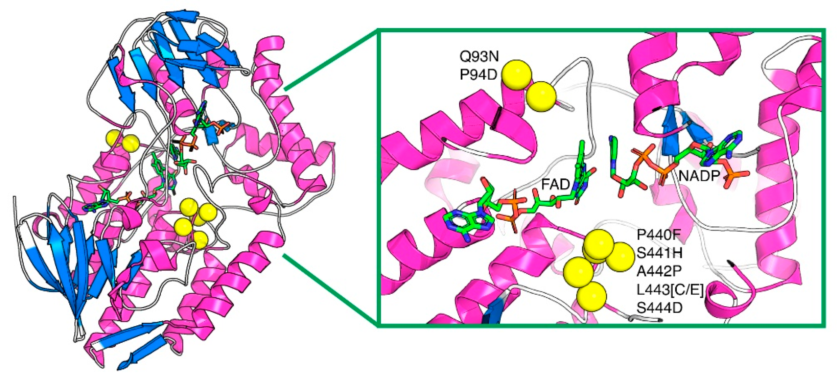 Ijms 23 12544 g002 Ijms 23 12544 g002
