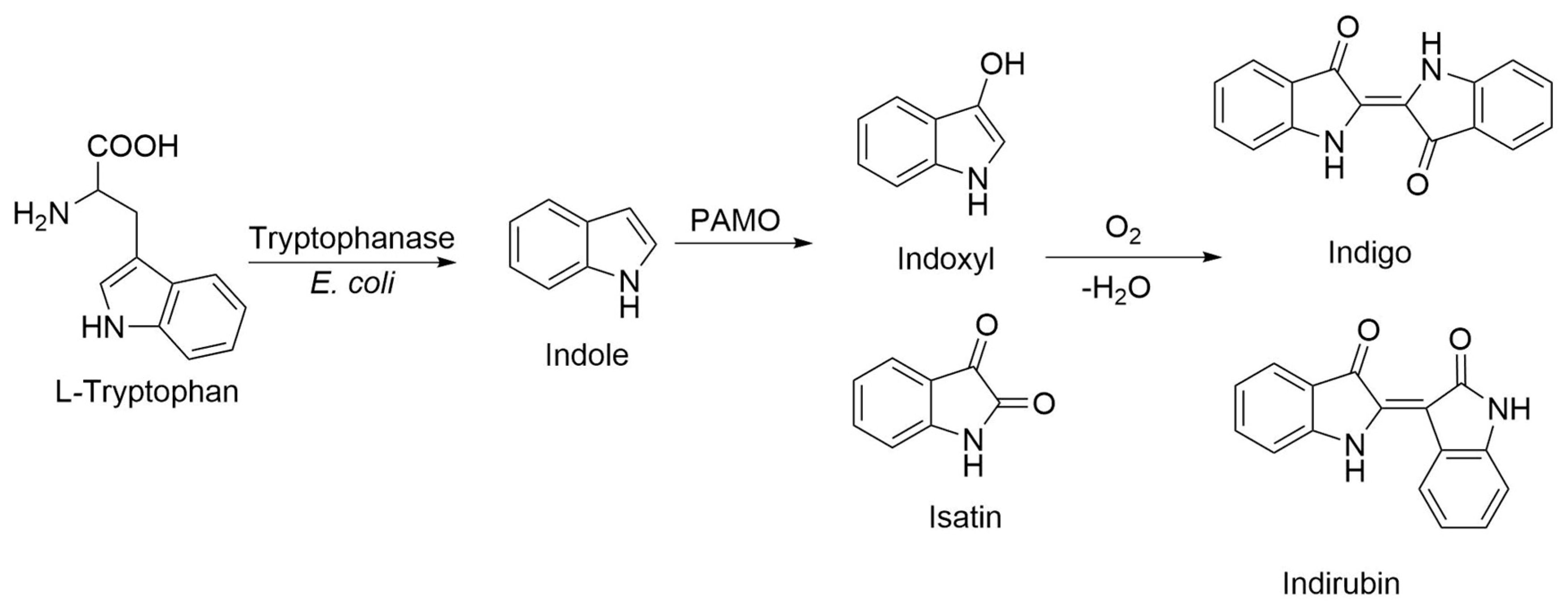 Ijms 23 12544 g003 Ijms 23 12544 g003