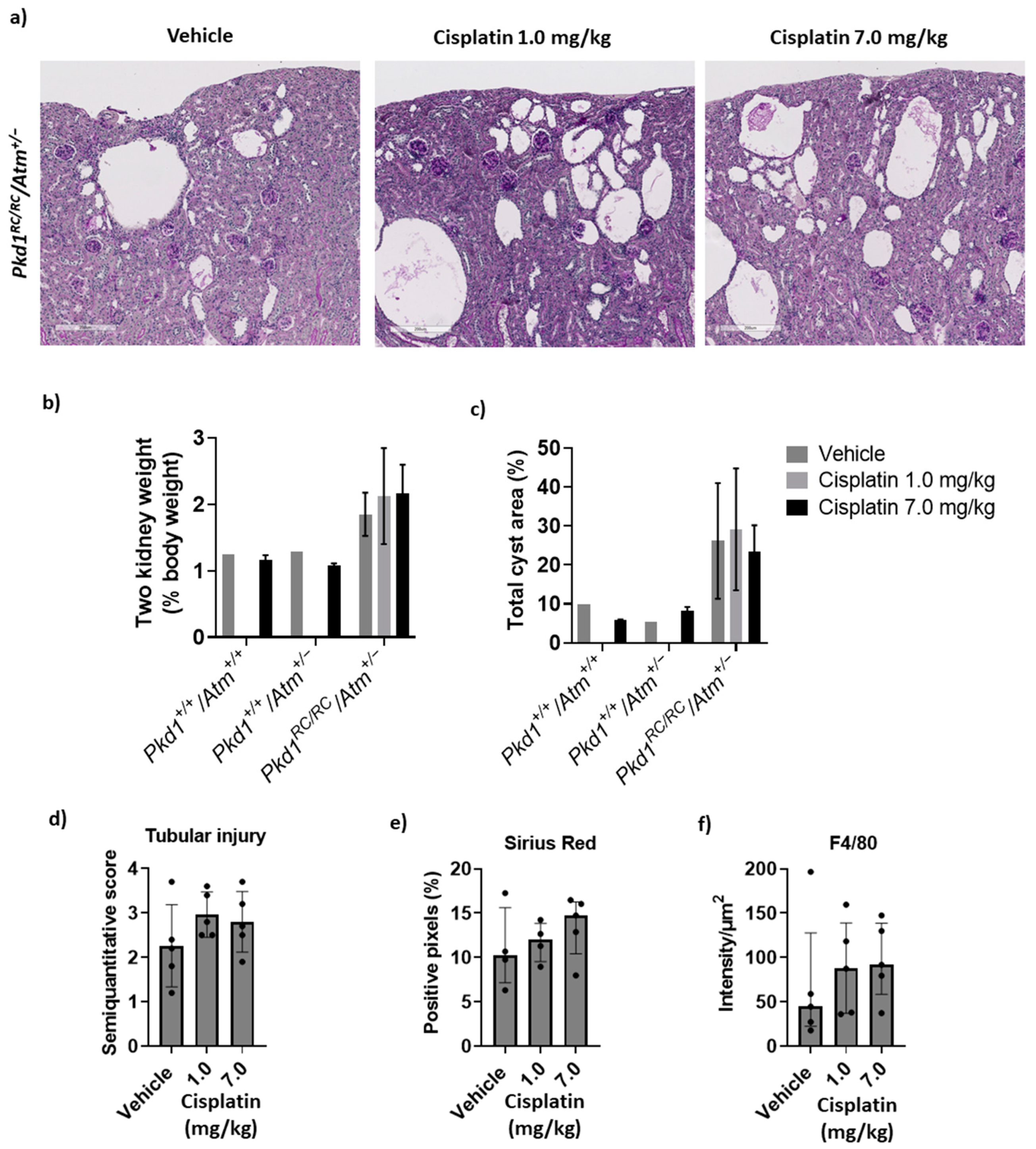 Ijms 23 12547 g003 Ijms 23 12547 g003
